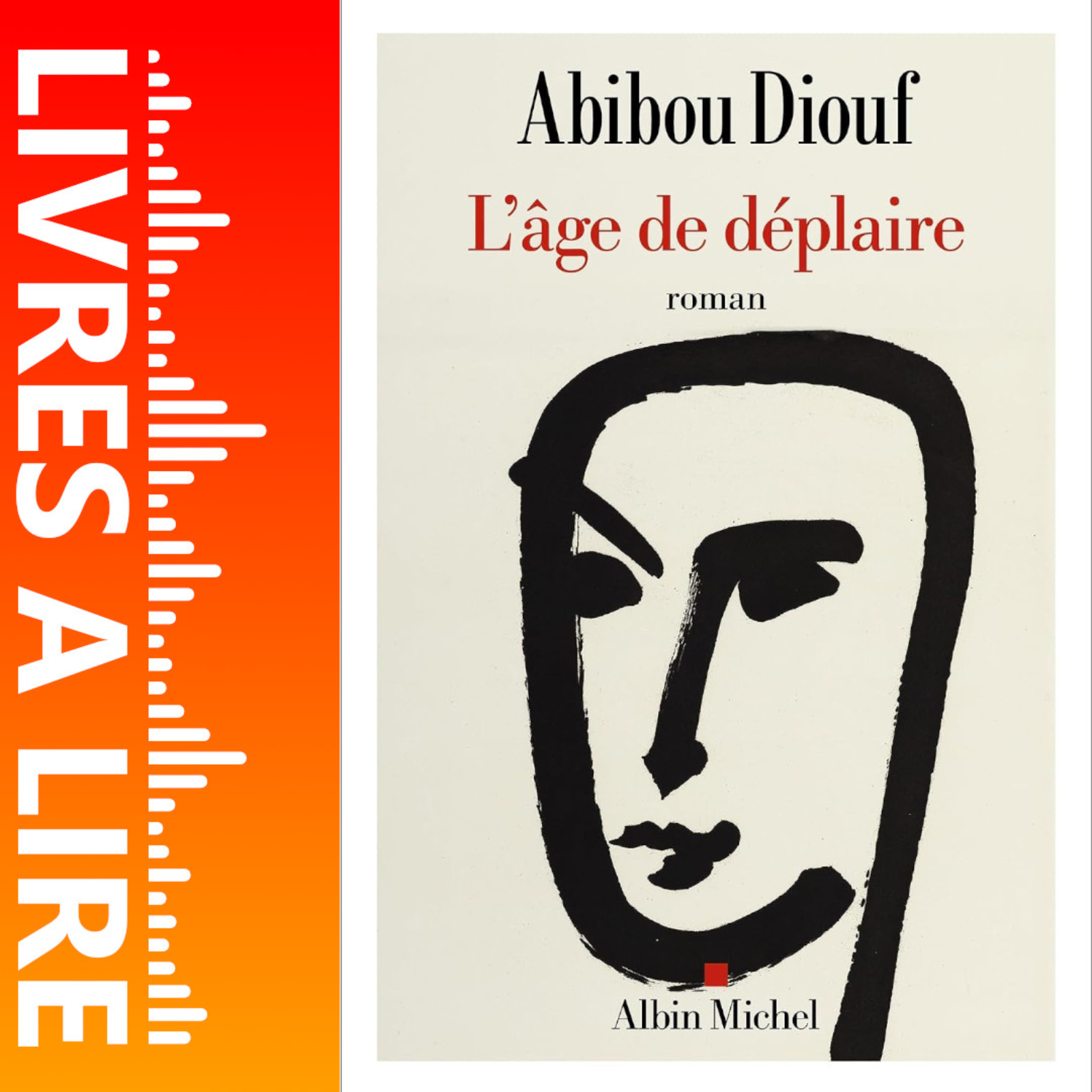 L'Age de déplaire de Abibou Diouf - Avis, Résumé et Analyse du livre