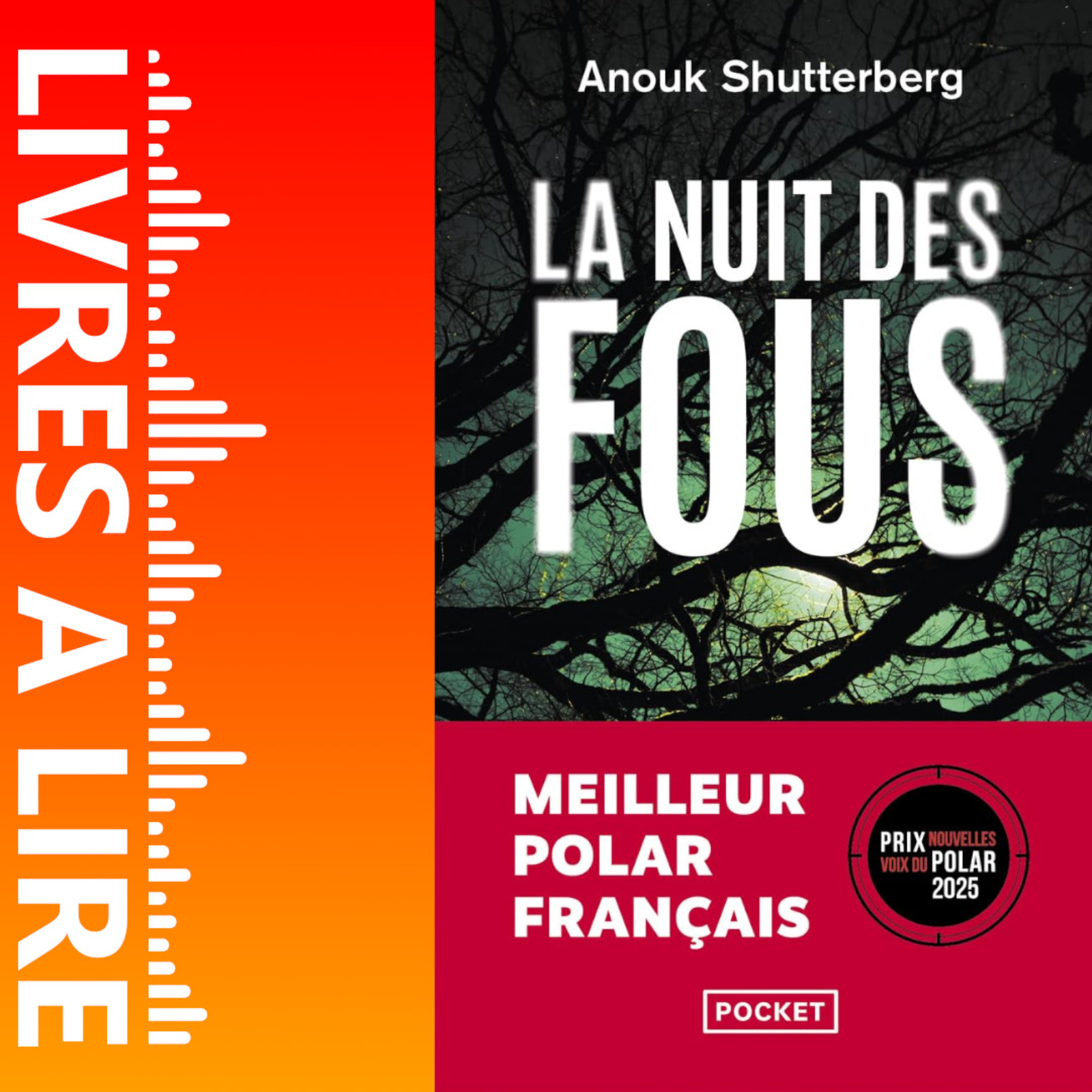 La nuit des fous de Anouk Shutterberg - Avis, Résumé et Analyse du livre