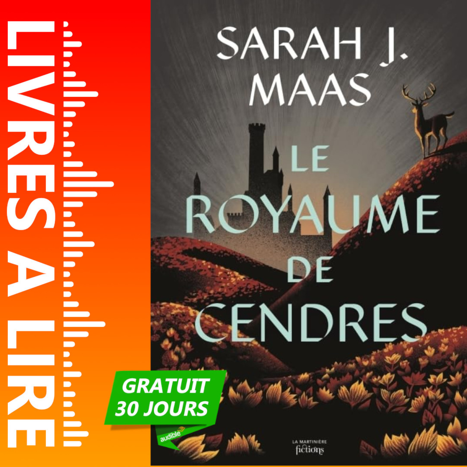 Le Royaume de cendres - Throne of Glass (Tome 7) de Sarah J. Maas - Avis, Résumé et Analyse du livre