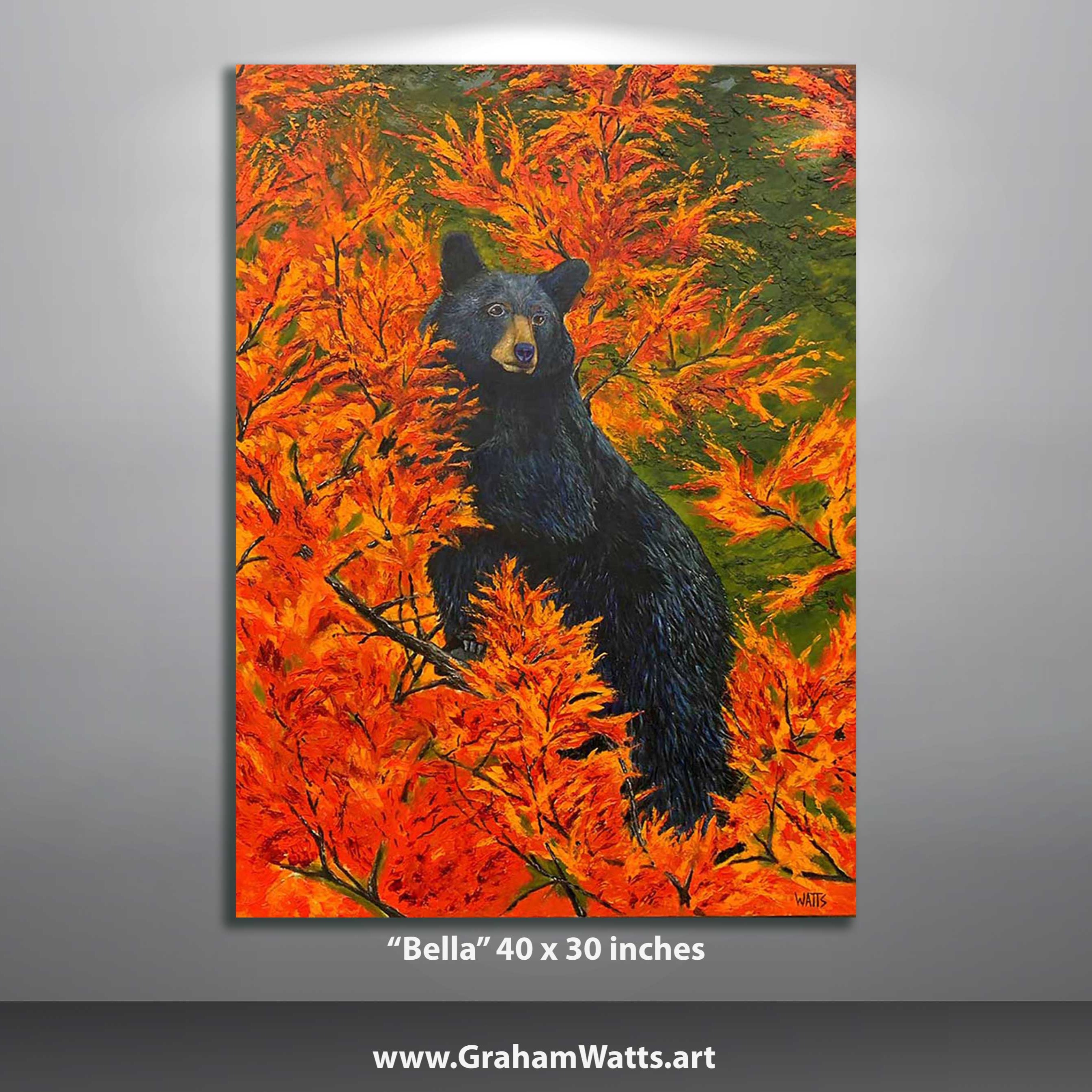 "Bella"– Black Bear Painting by artist Graham Watts