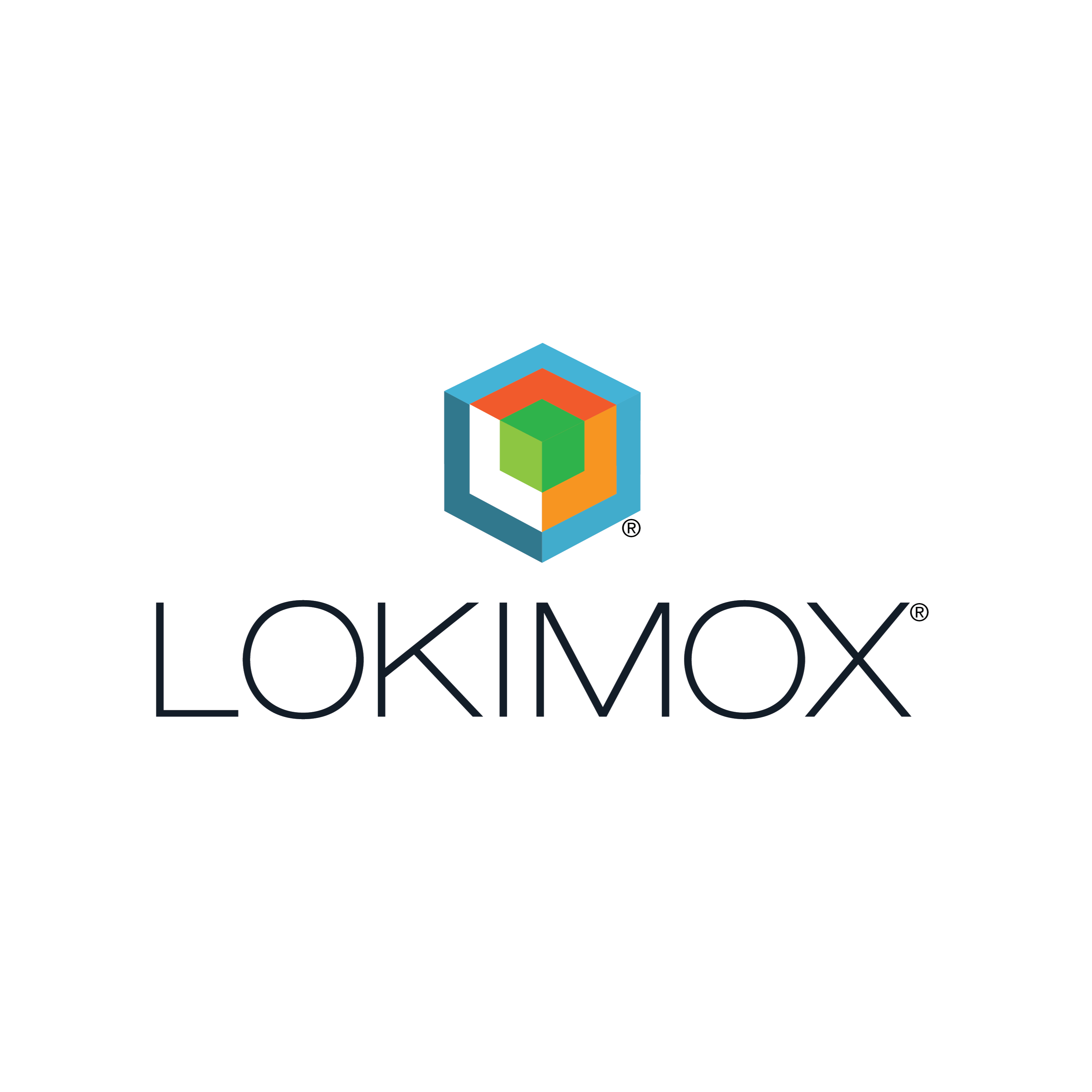 Lokimox Soapbox: An Engineer's Perspective of Society and the World