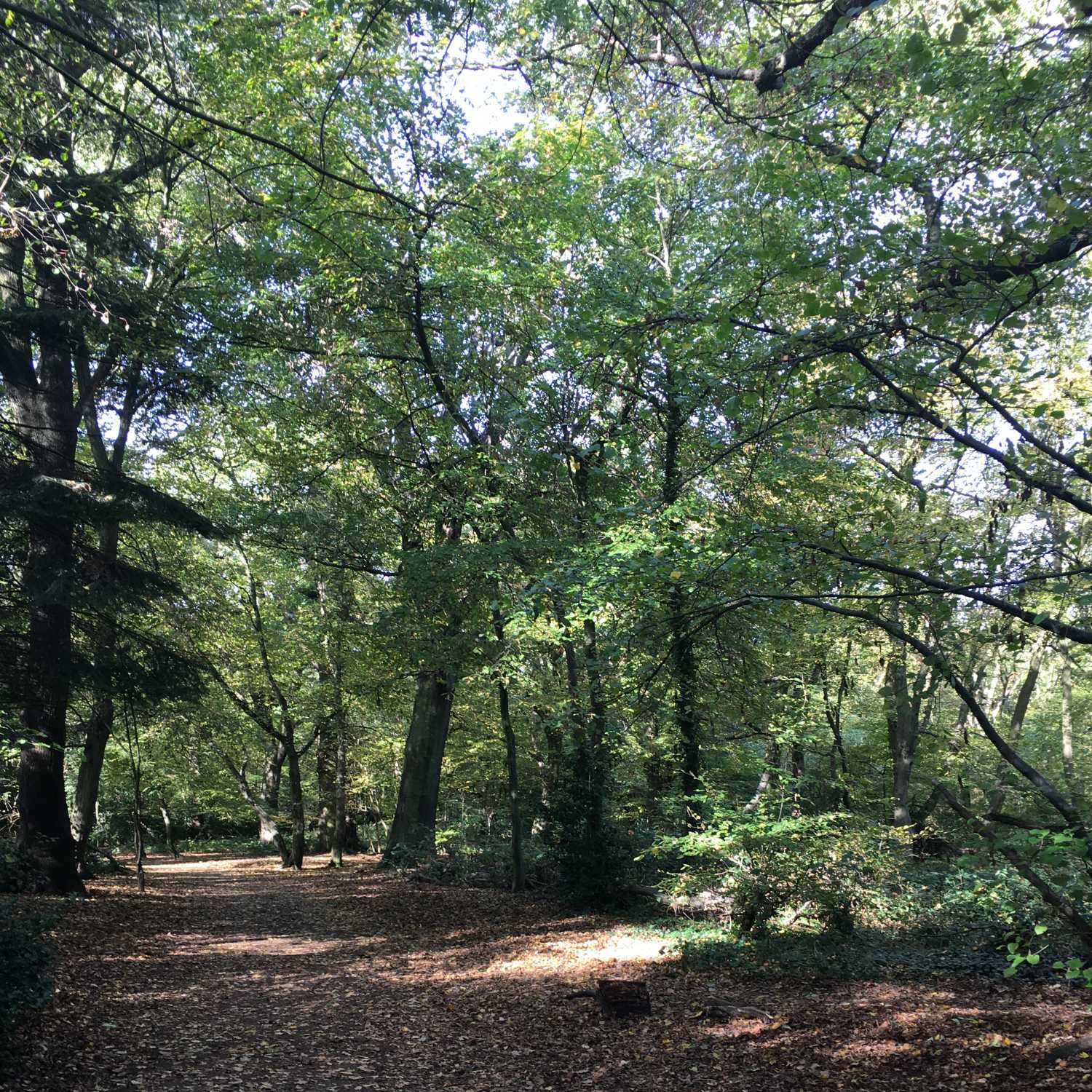 London Wlogger Walking Podcast