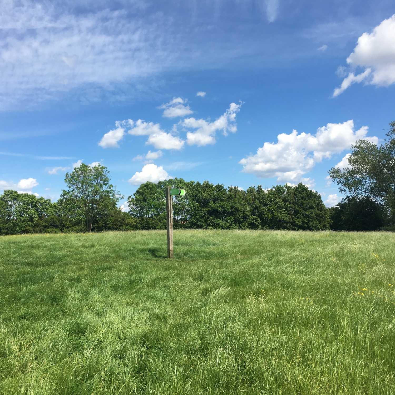 London Wlogger Walking Podcast