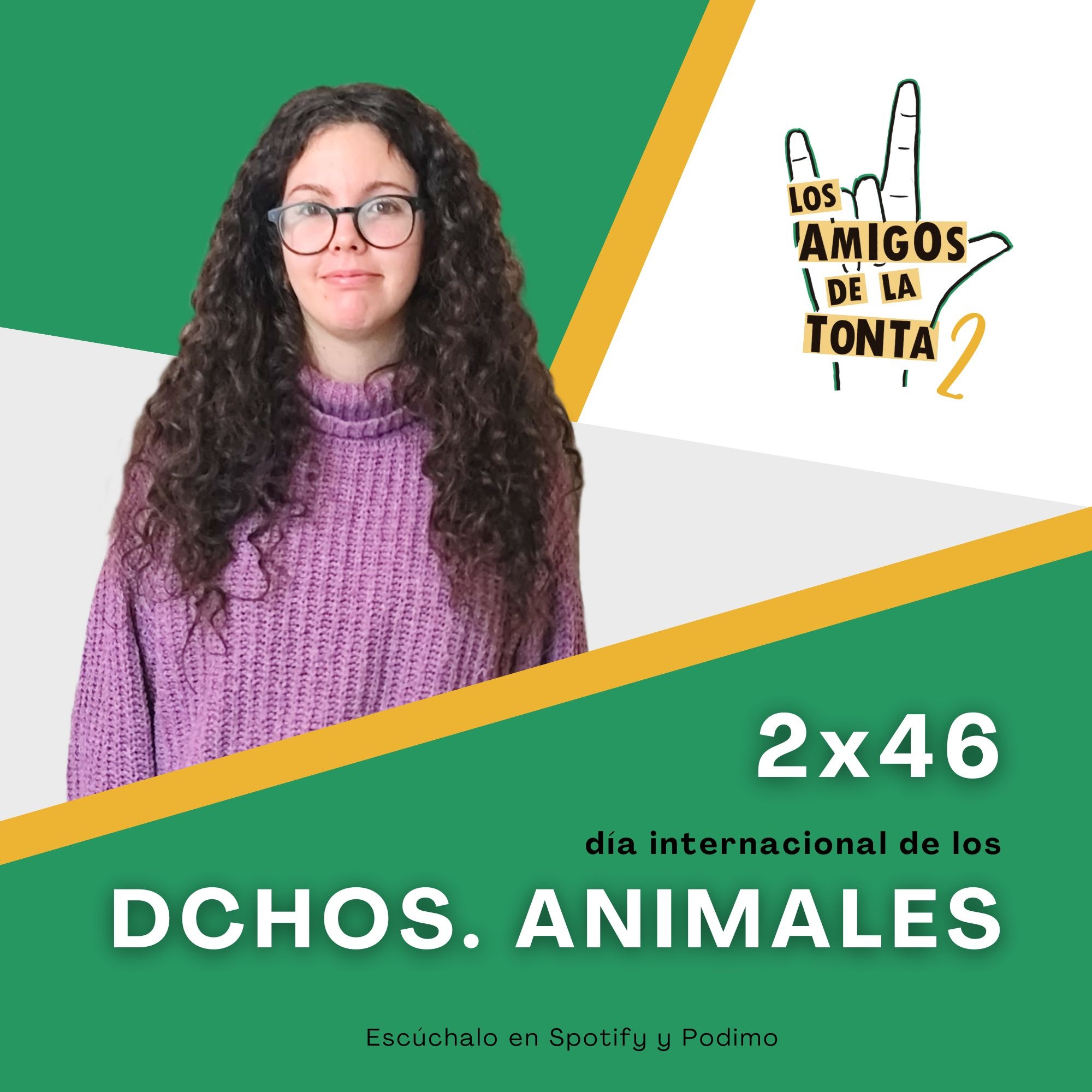 Los Amigos de la Tonta