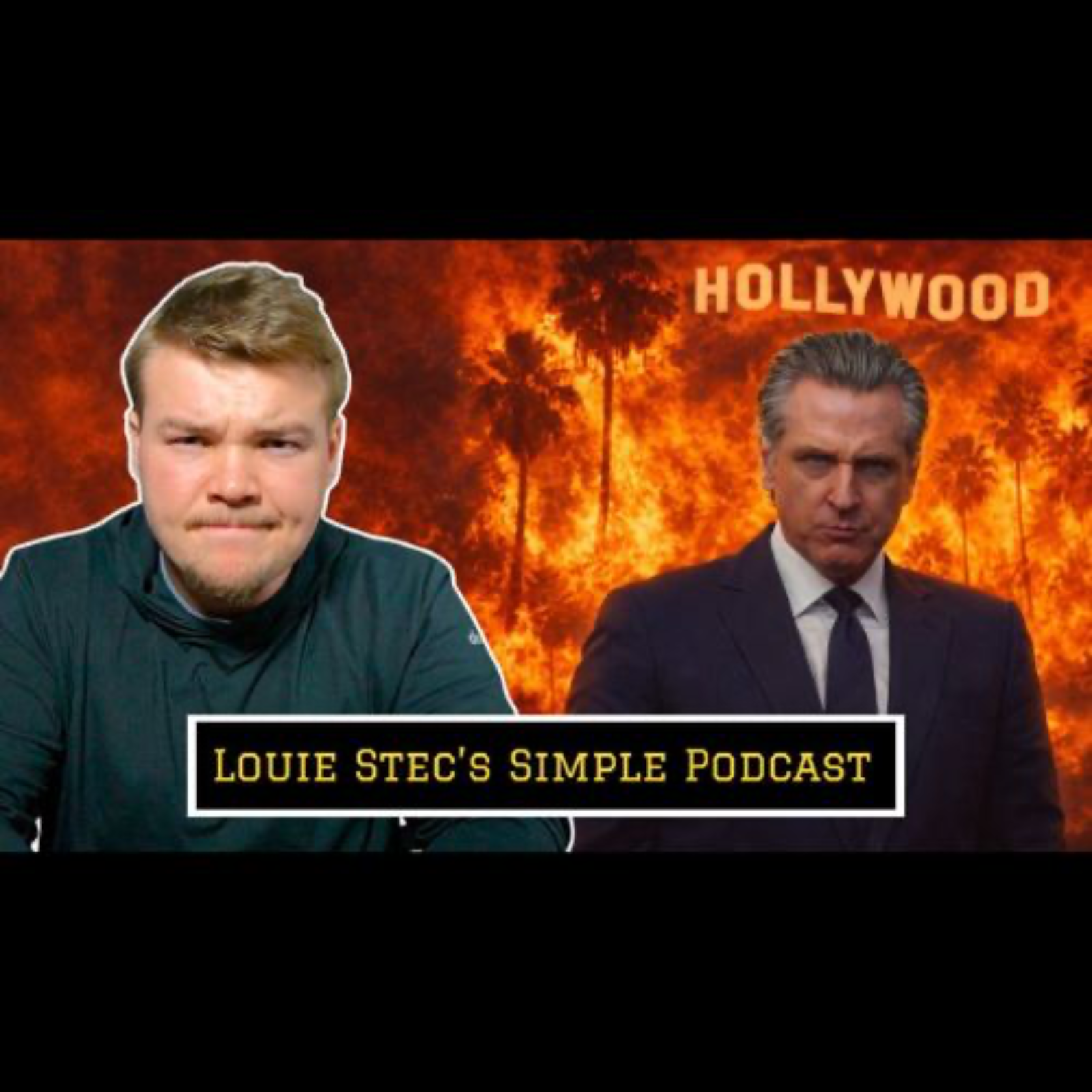 Digging Deep into Gavin Newsom’s $250 Billion Fraud Allegations episode artwork