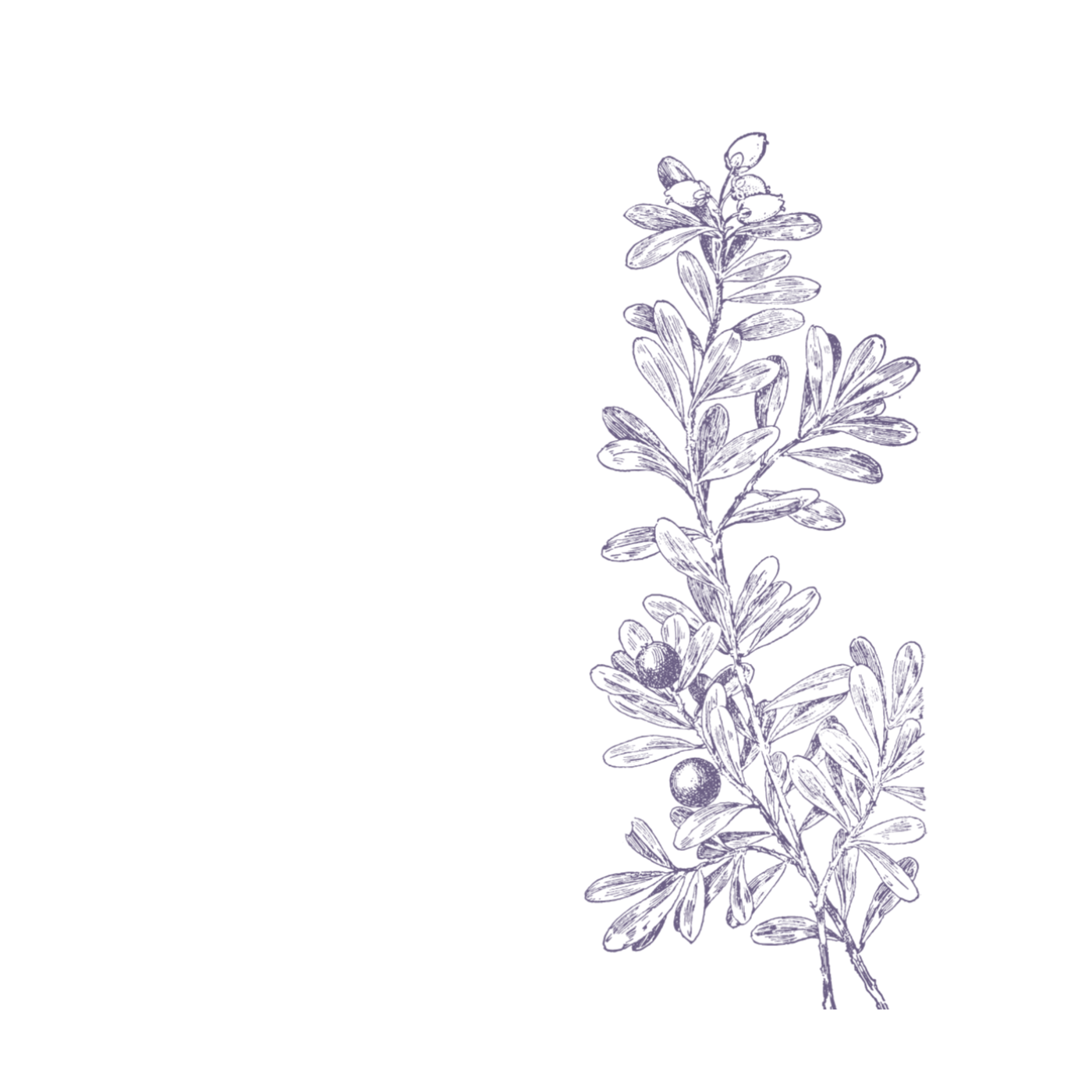 Love in the Mourning