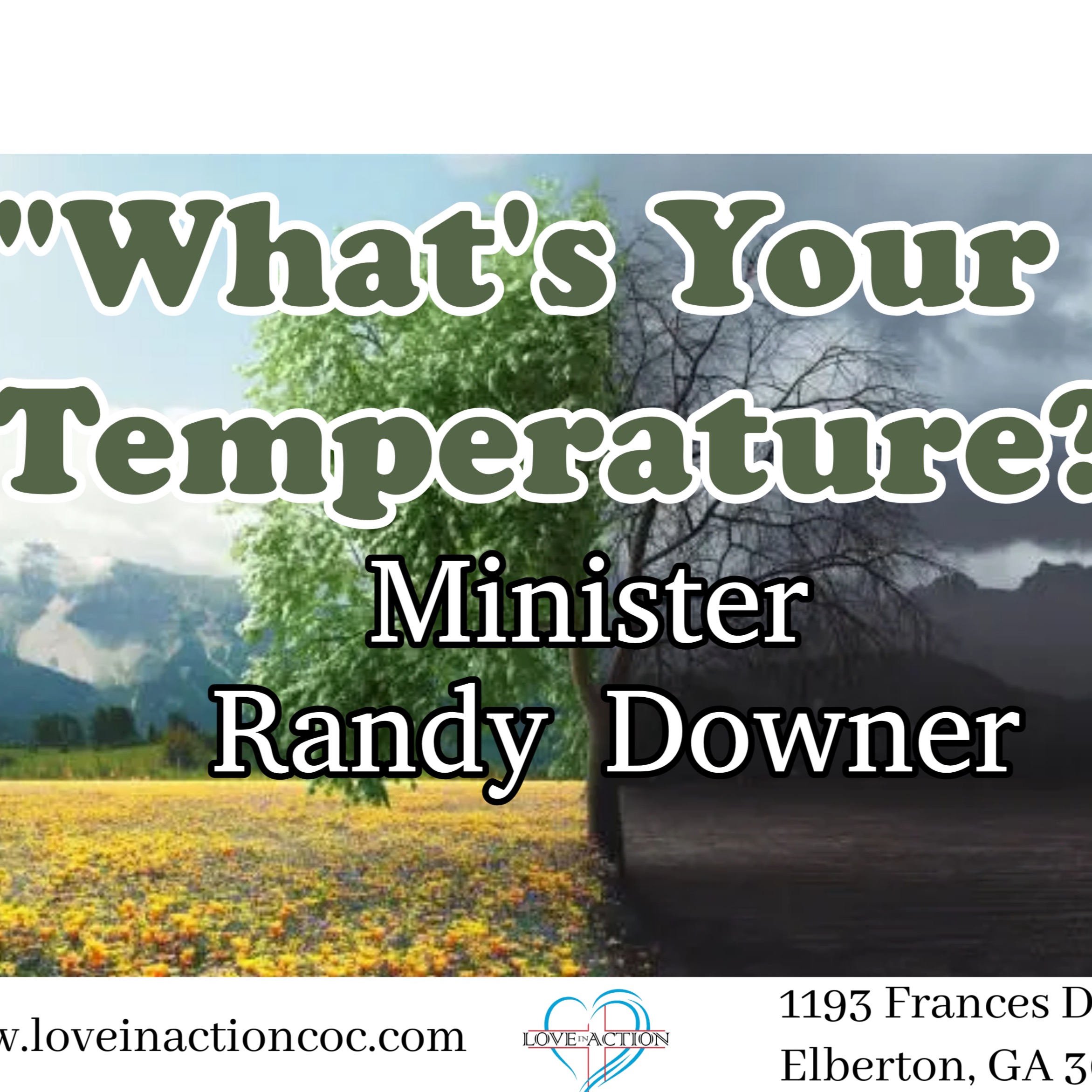 What's Your Temperature? episode artwork