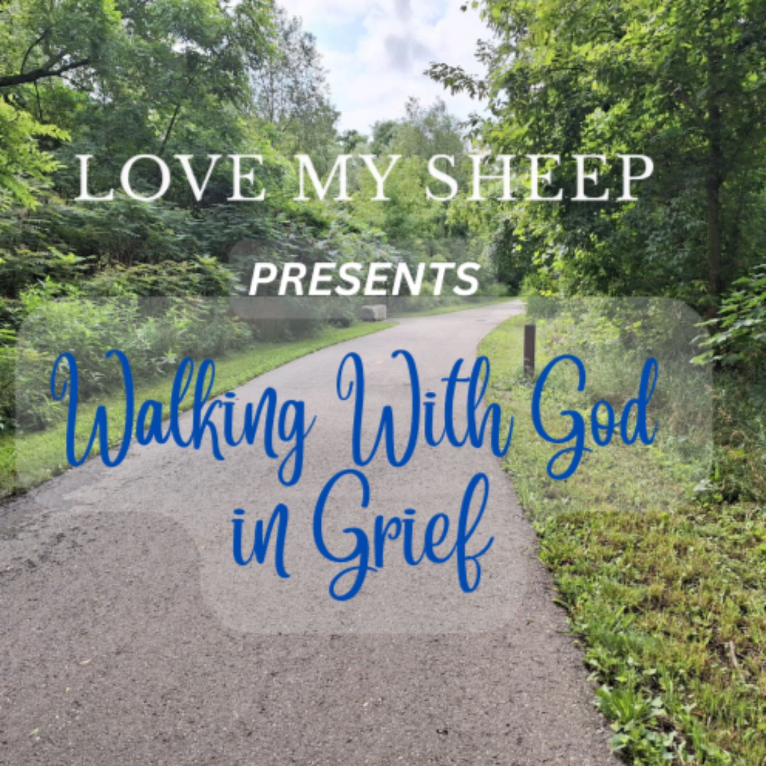 Walking With God in Grief - Distractions (Season Finale) episode artwork