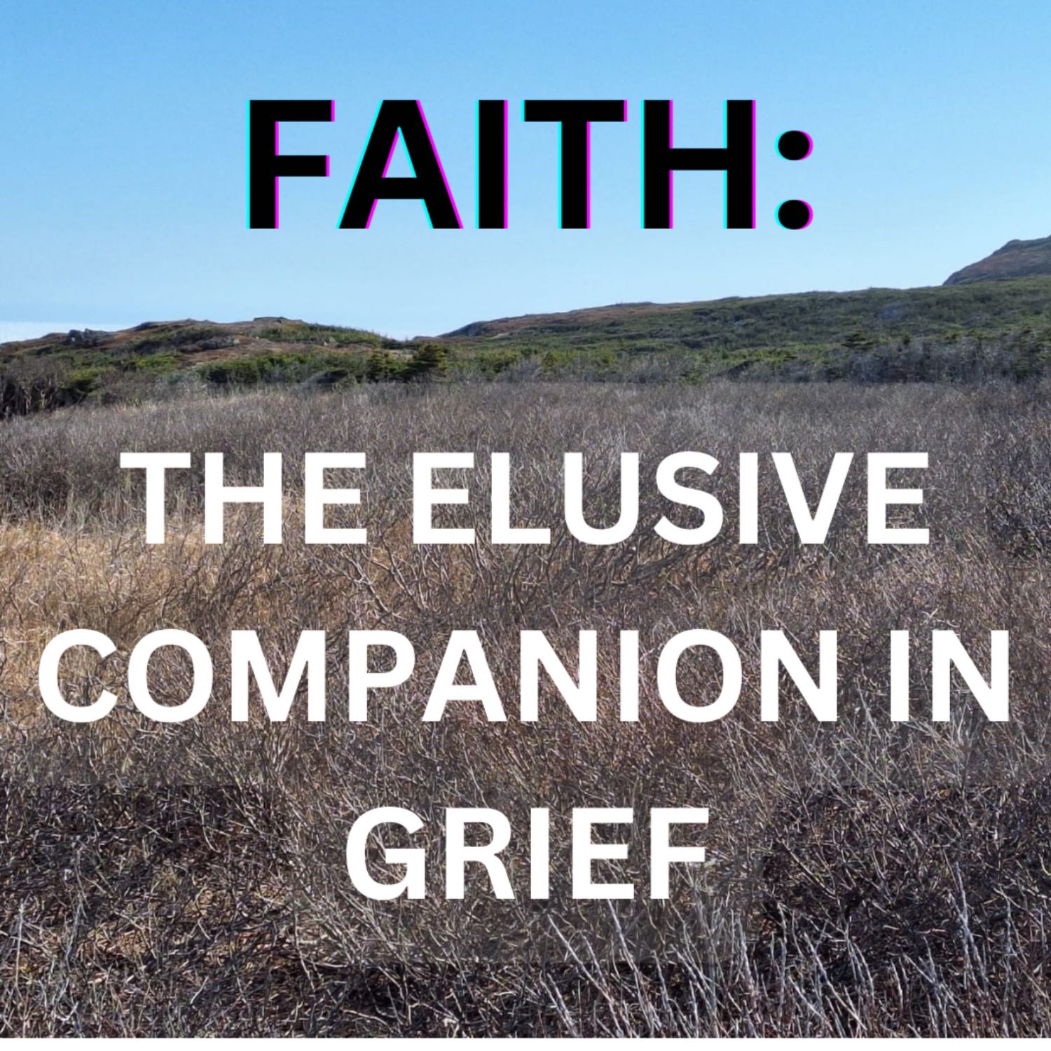 S5 Ep 1: Faith: The Elusive Companion in Grief (Season Premiere) episode artwork