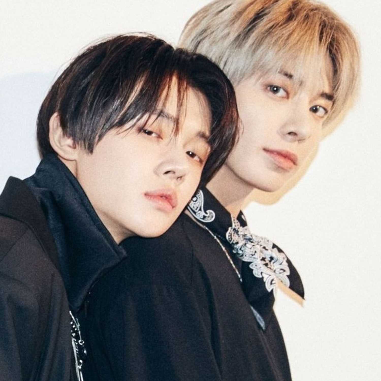 txt covers