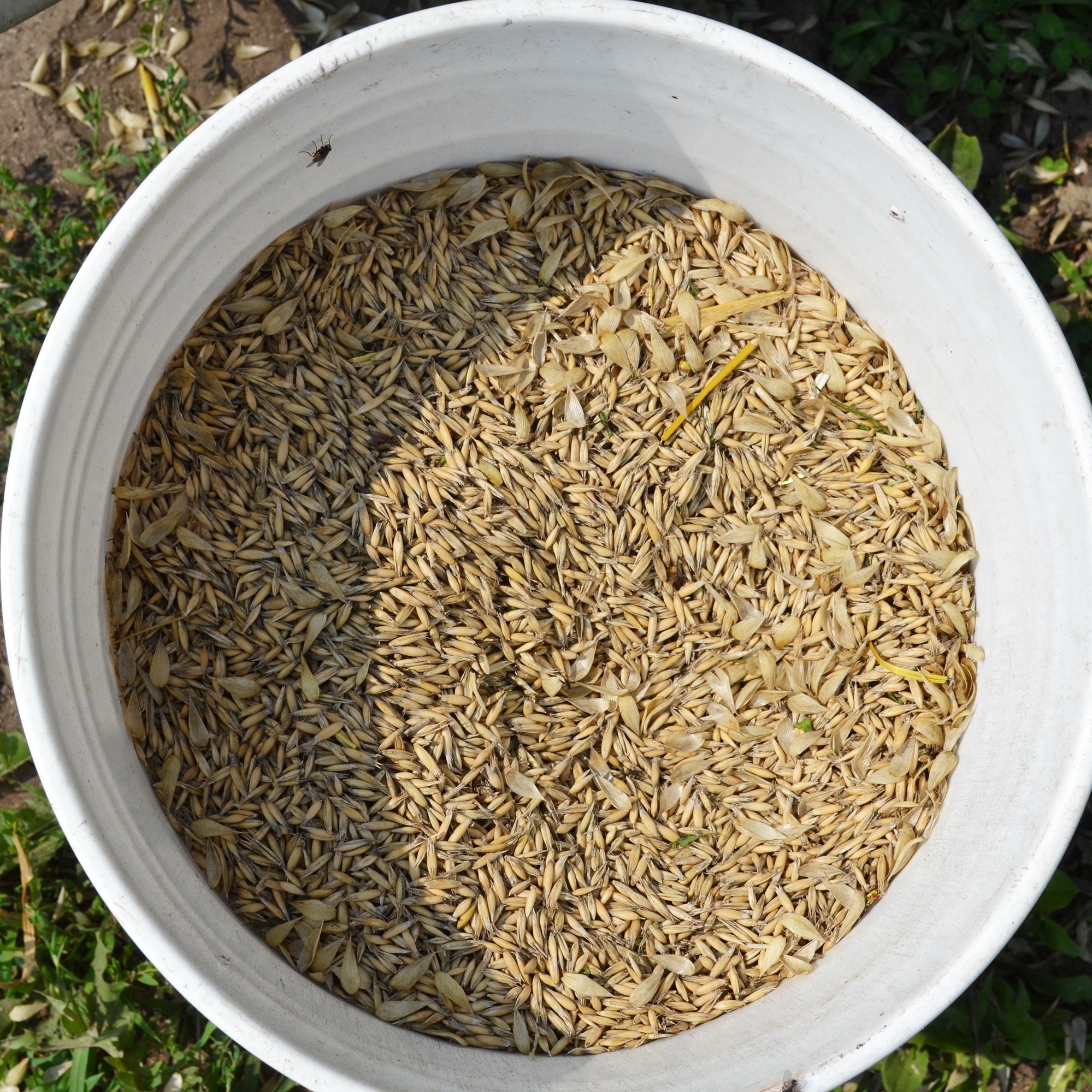 LSP\'s Ear to the Ground