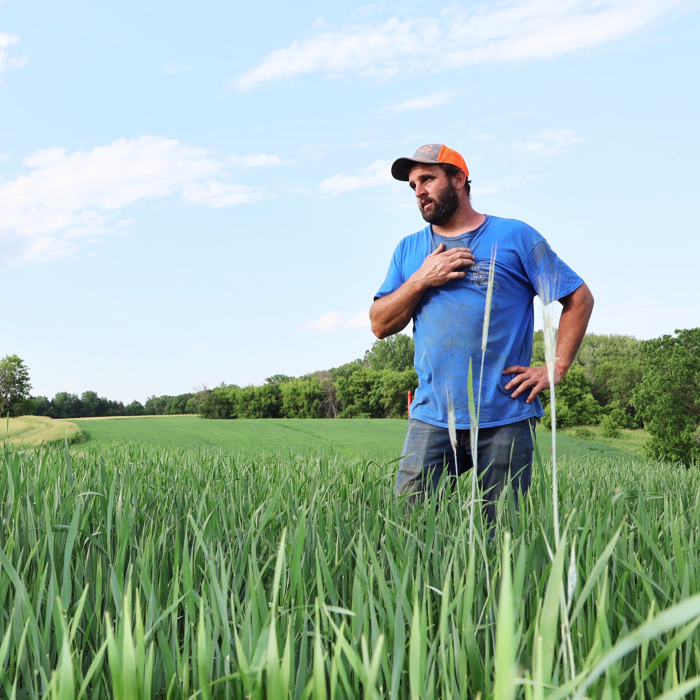 LSP\'s Ear to the Ground