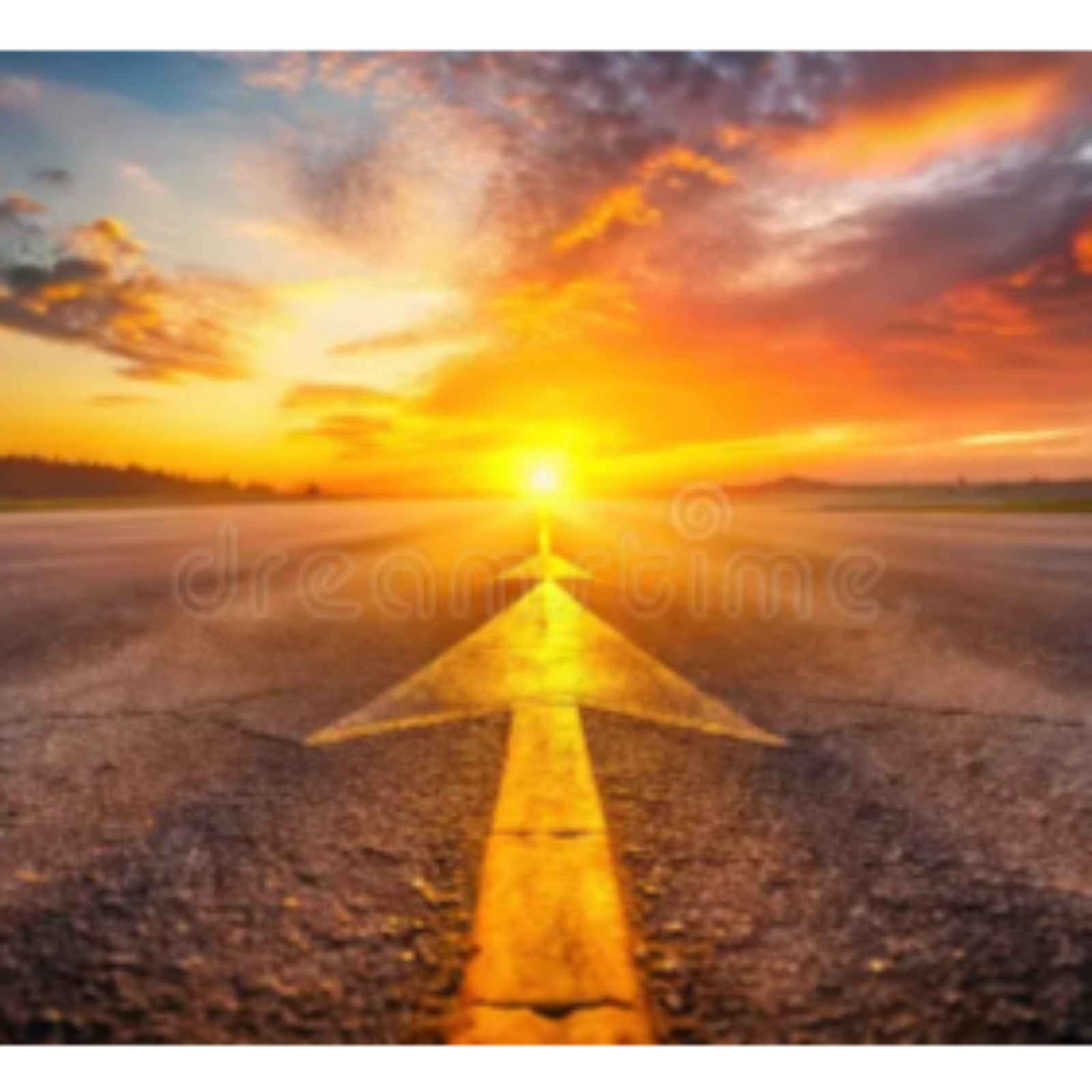 The Path Forward 