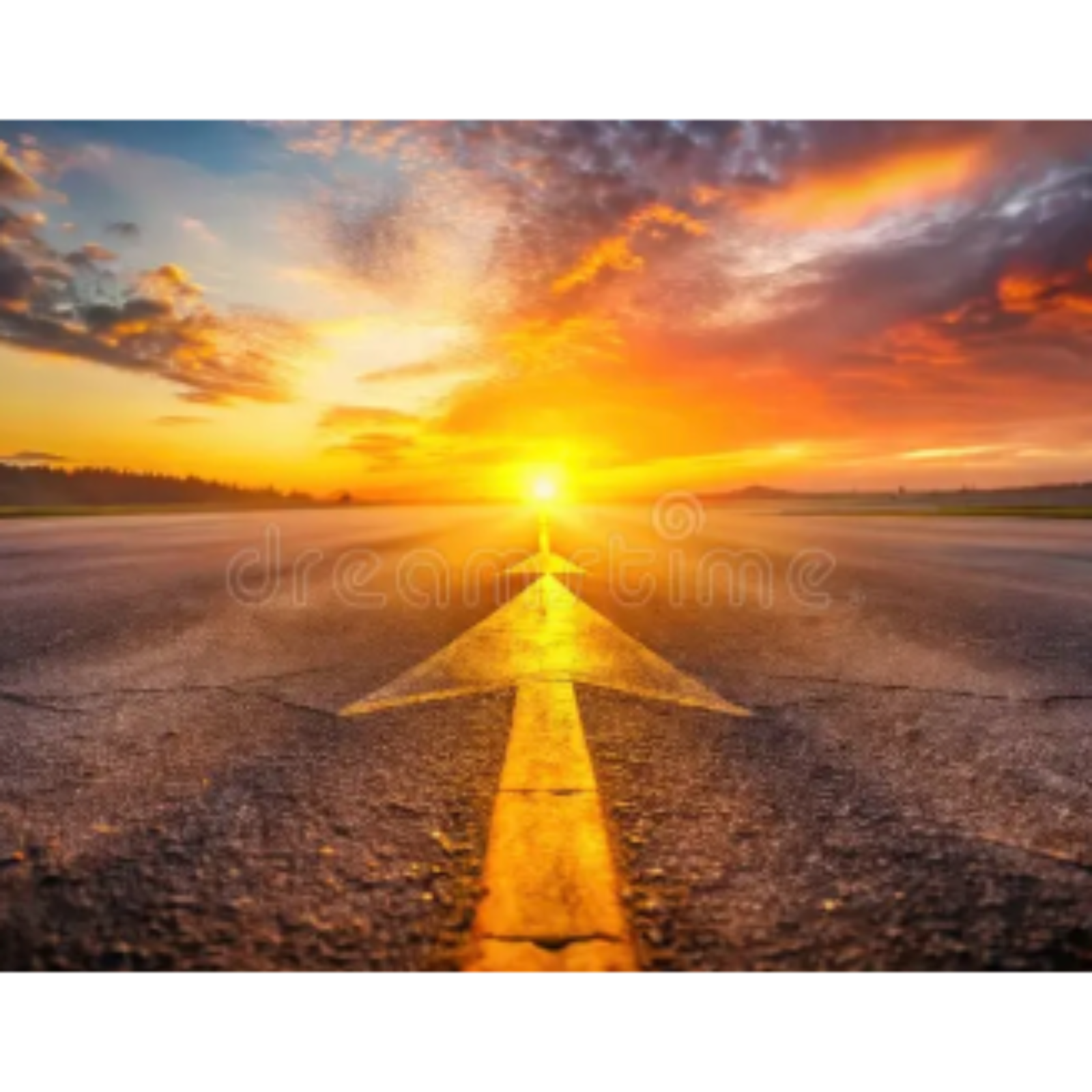 The Path Forward - The Round Table