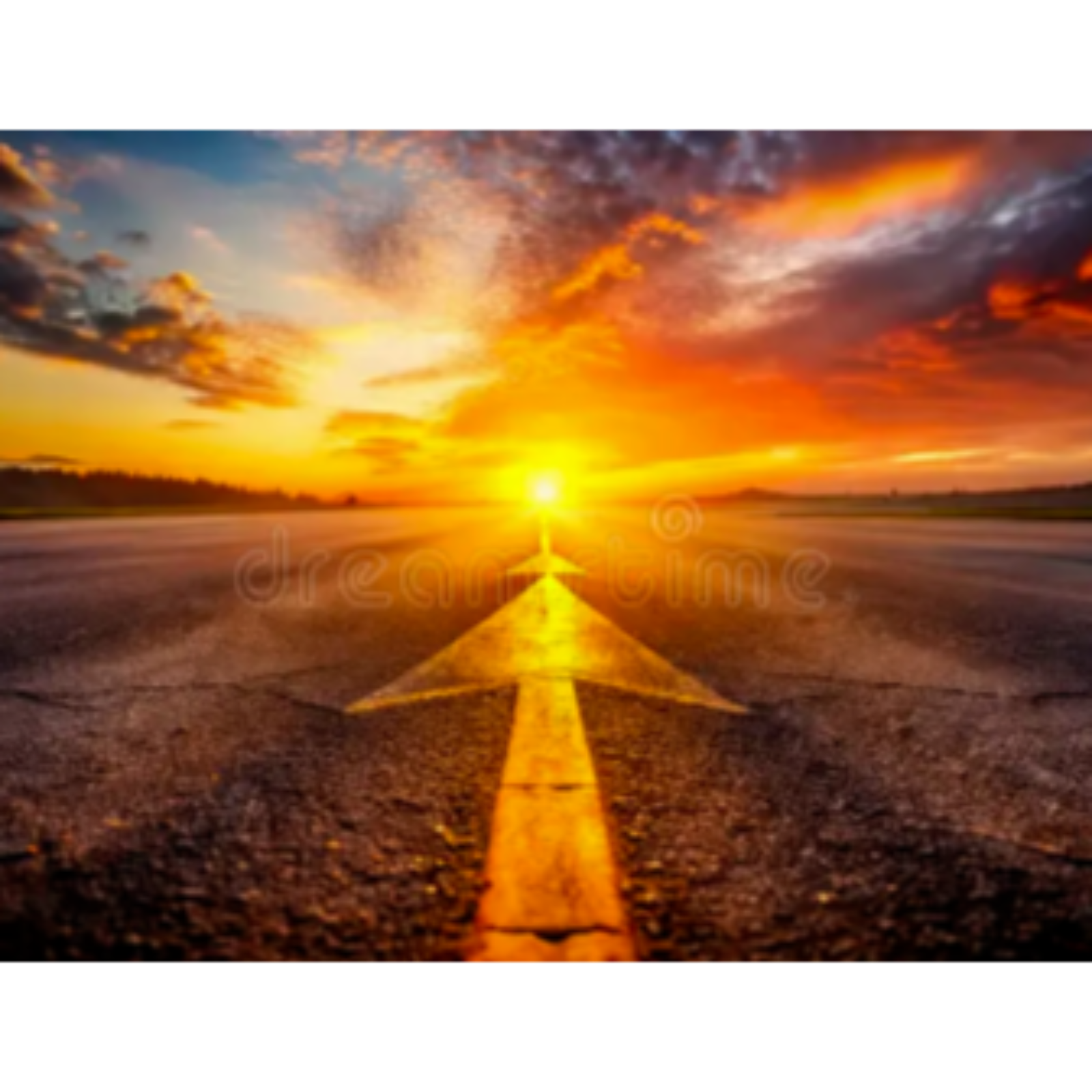 The Path Forward - The Madness Continues