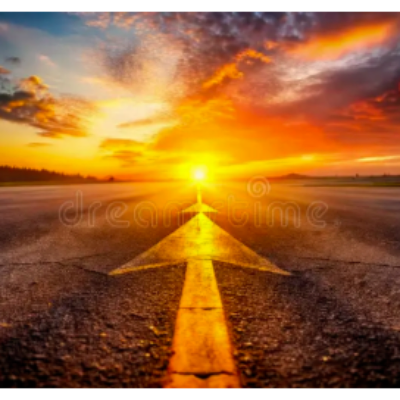 The Path Forward - The Round Table