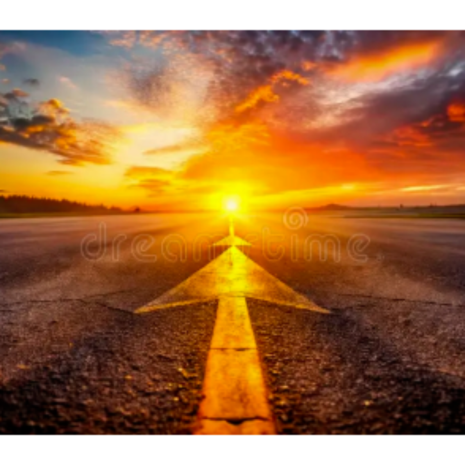 The Path Forward - Interview with the guys from WRSA