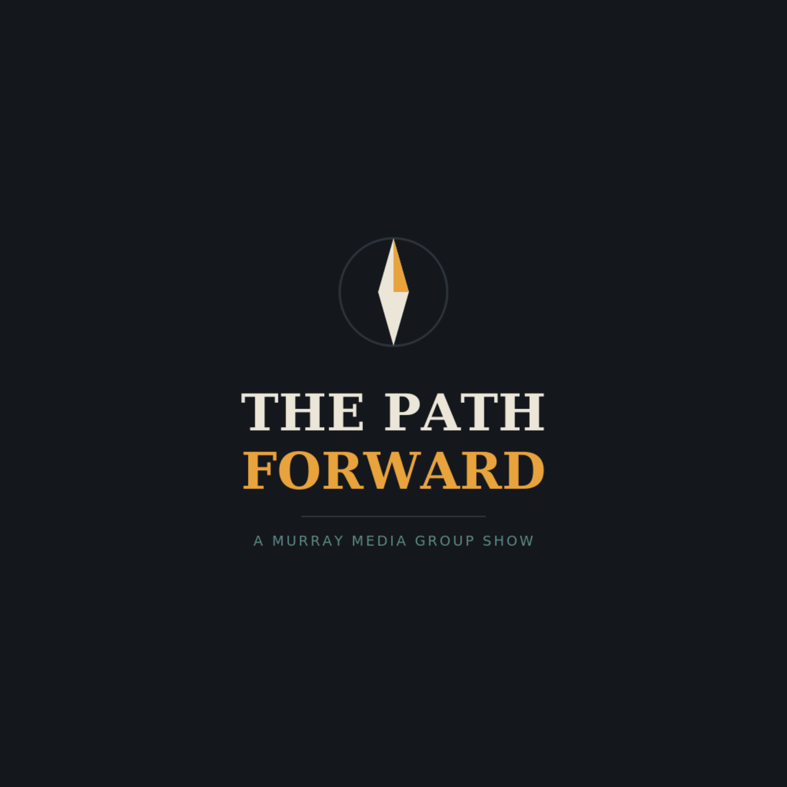 Daily Update 8-11 - You only hear the problem, never the solution episode artwork