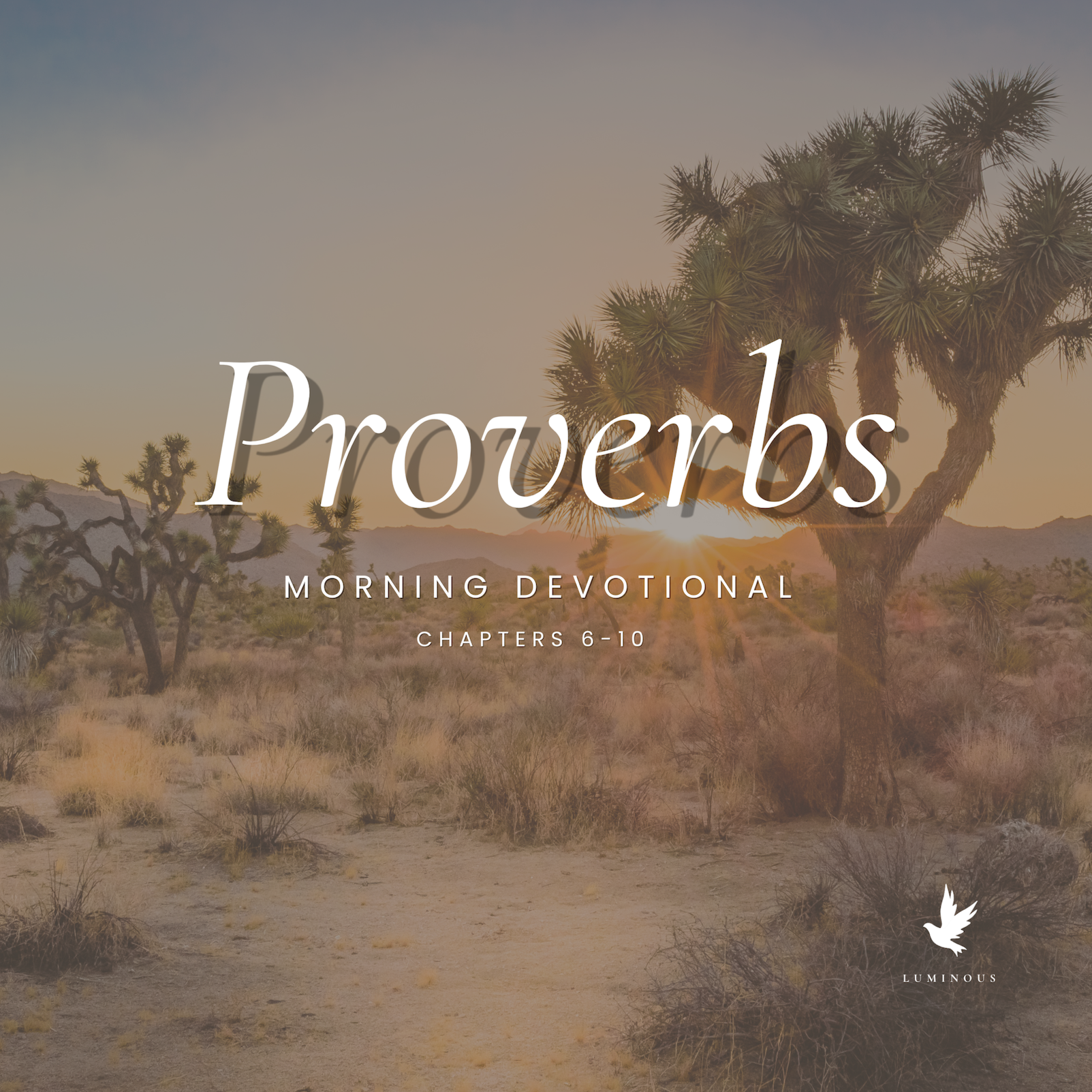 Proverbs Chapters 6-10 KJV Read Aloud | Proverbs Morning Devotional episode artwork