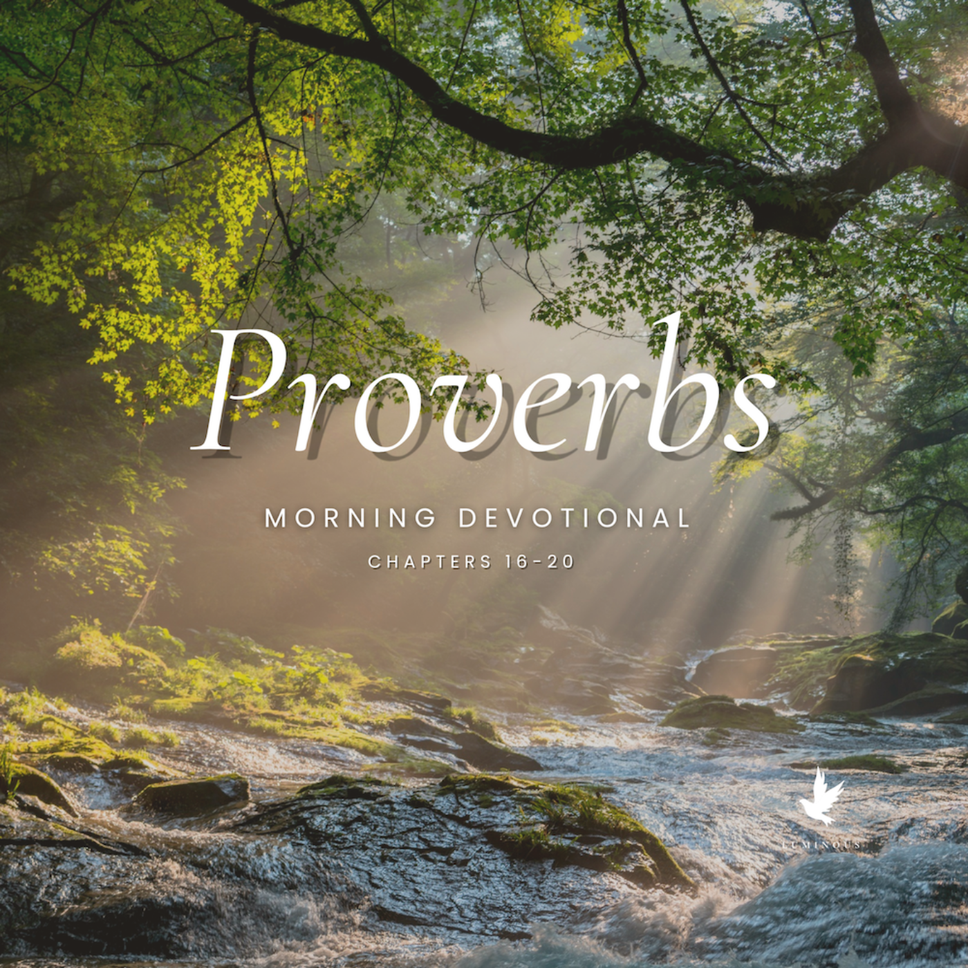 15-Minute Morning Scripture Reading : Proverbs 16-20 | Bible Audio #wisdom episode artwork