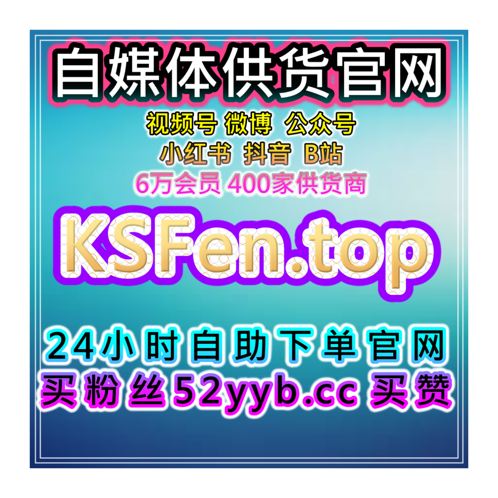 数据增长助手：提升短视频平台点赞量与互动率提升的全方位加速方案 episode artwork