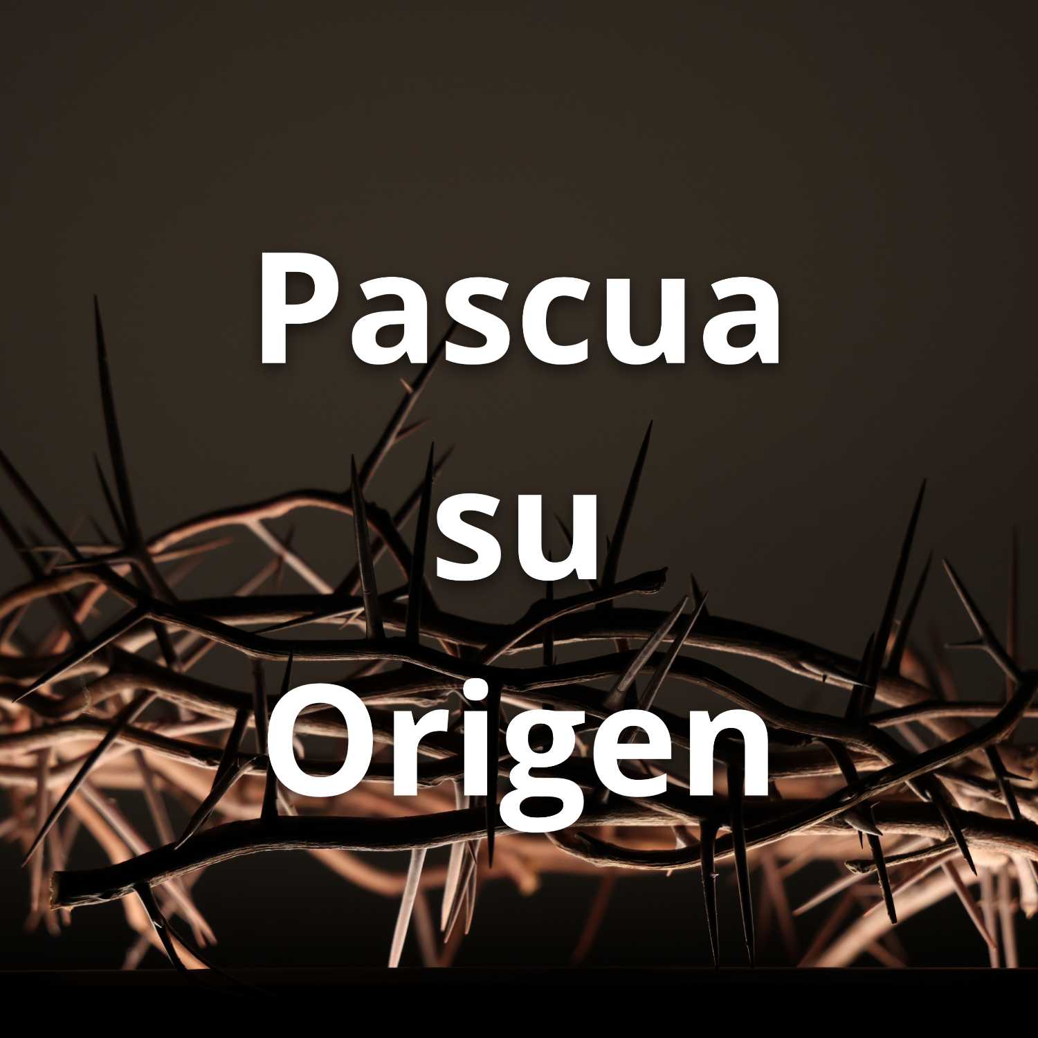 Ministerio Luz y Verdad de Cristo