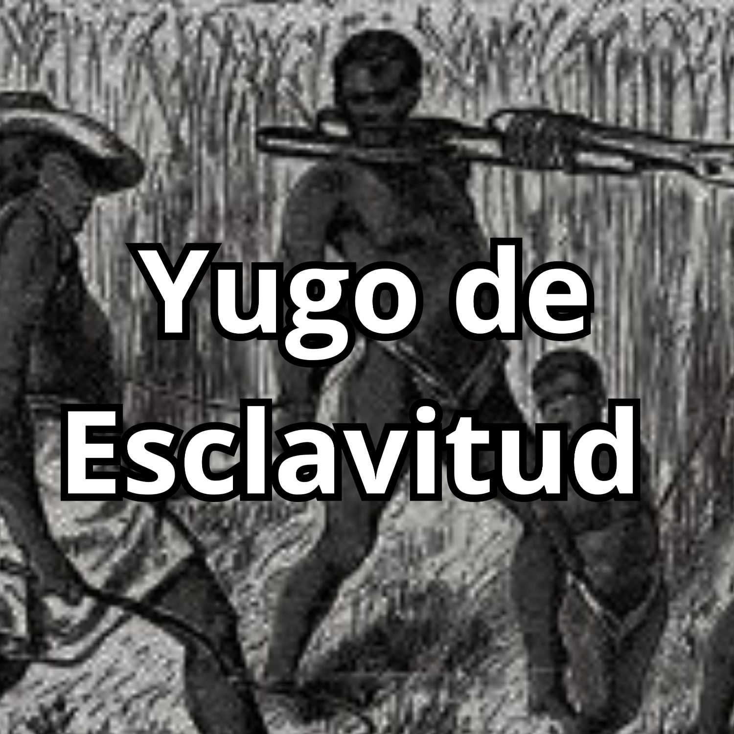 Ministerio Luz y Verdad de Cristo