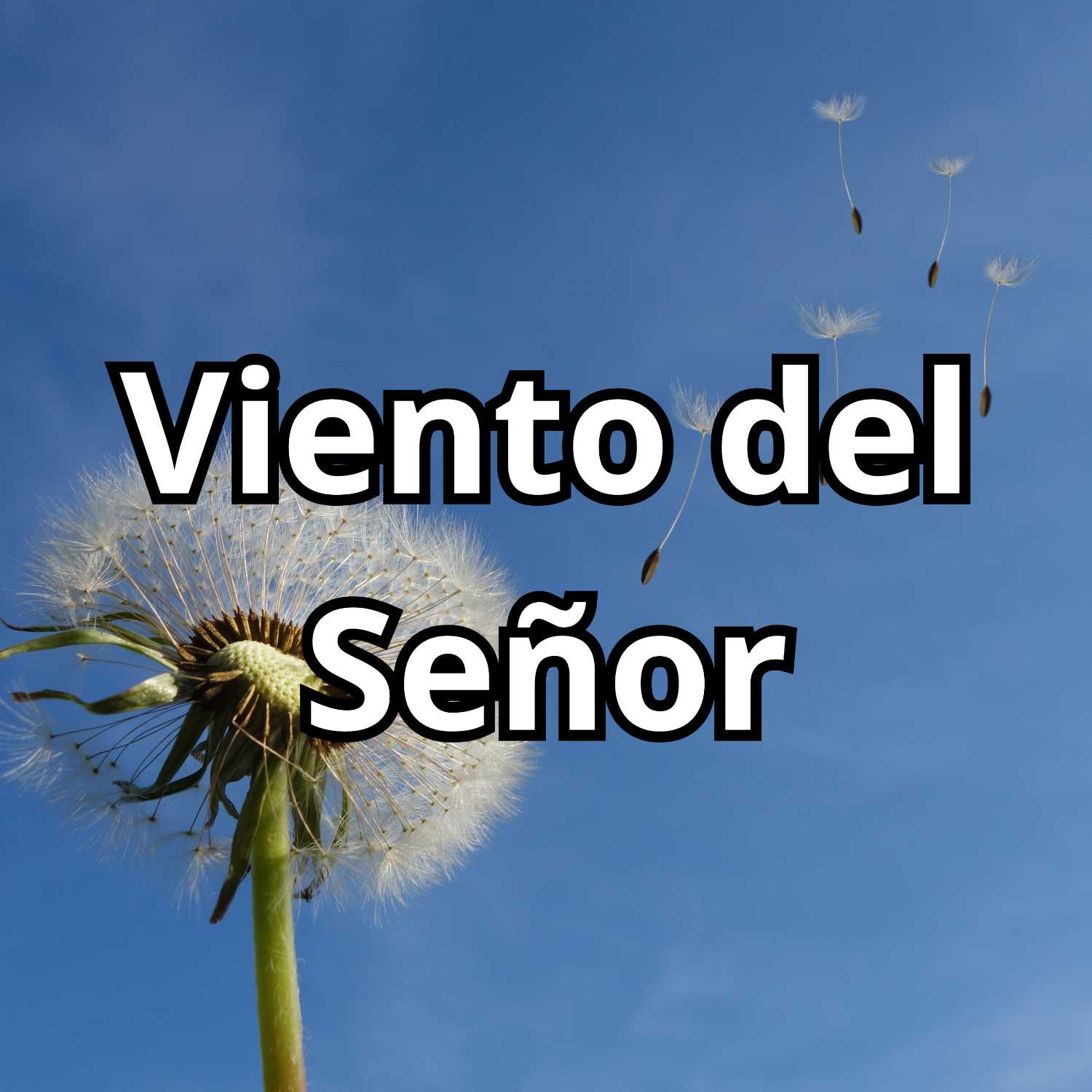 Ministerio Luz y Verdad de Cristo