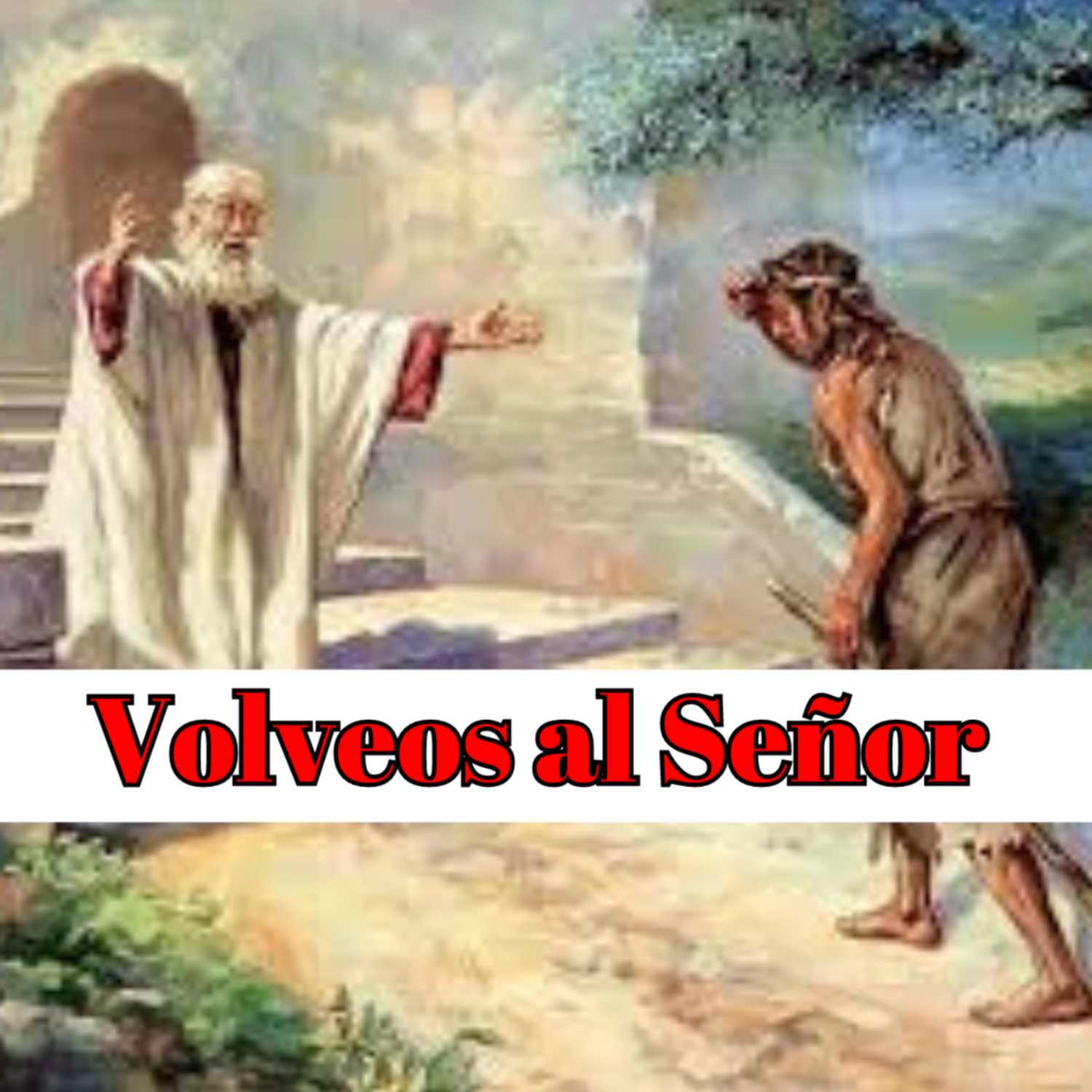 Ministerio Luz y Verdad de Cristo
