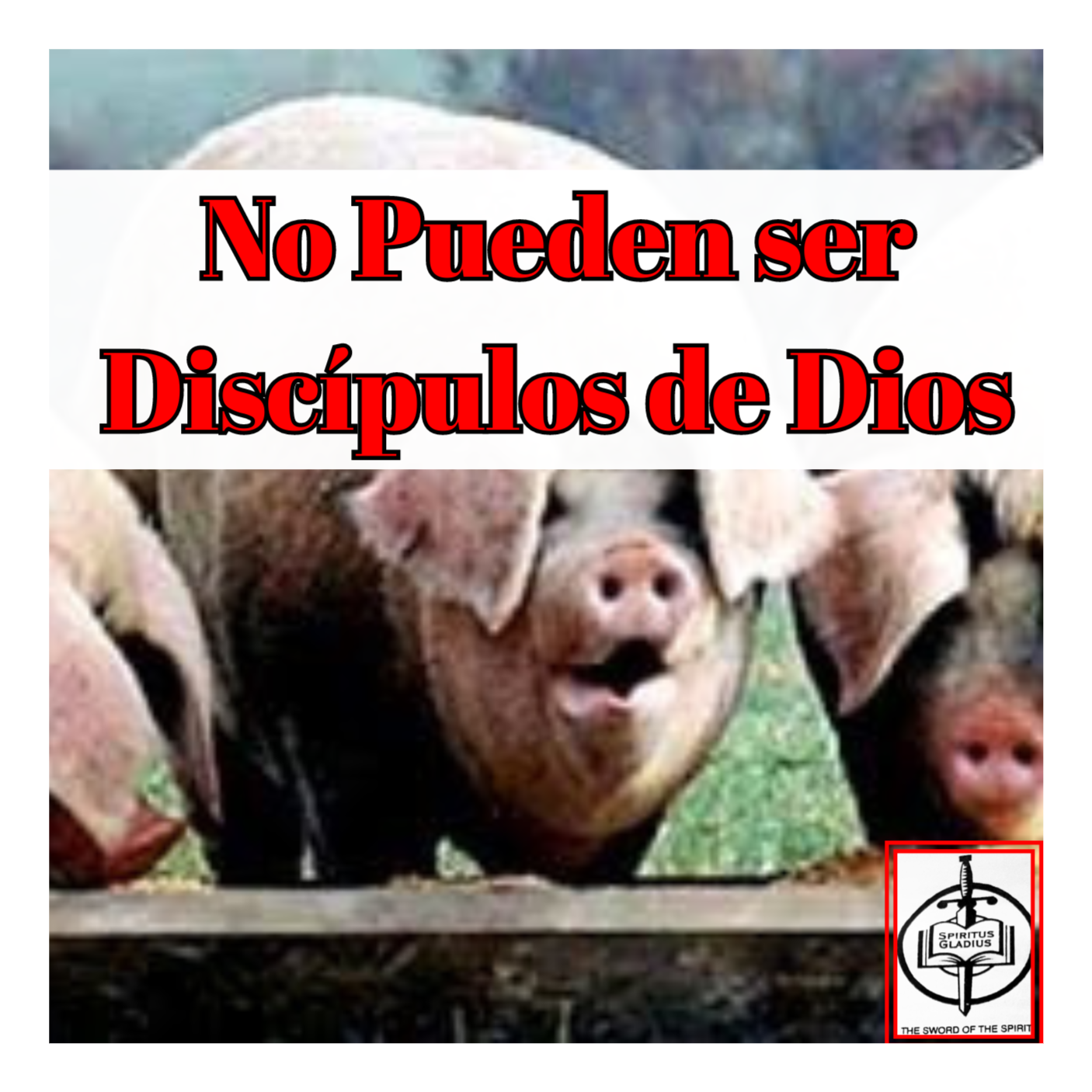 Ministerio Luz y Verdad de Cristo
