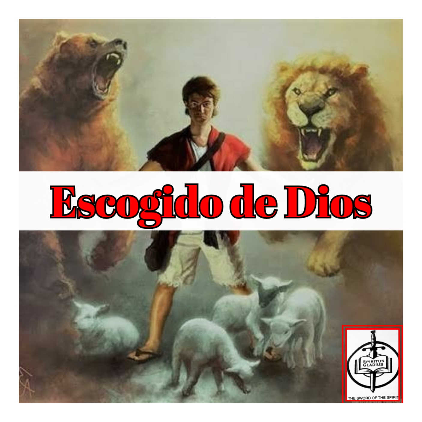Ministerio Luz y Verdad de Cristo
