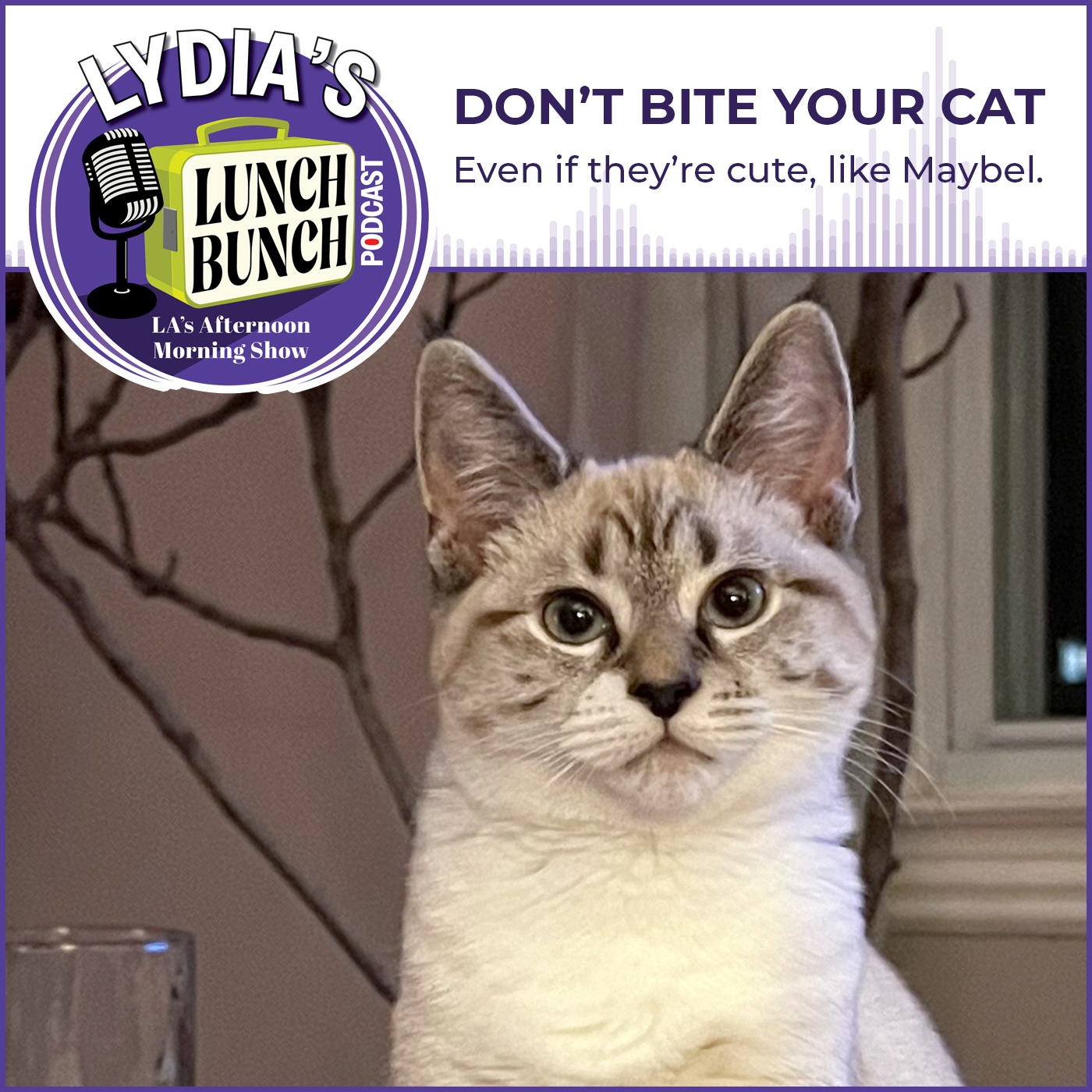 Lydia\'s Lunch Bunch