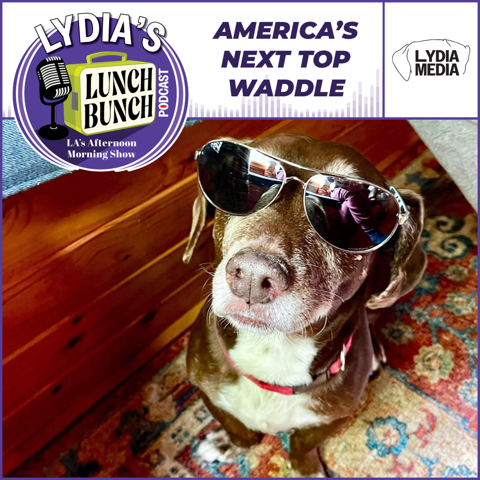 America's Next Top Waddle episode artwork