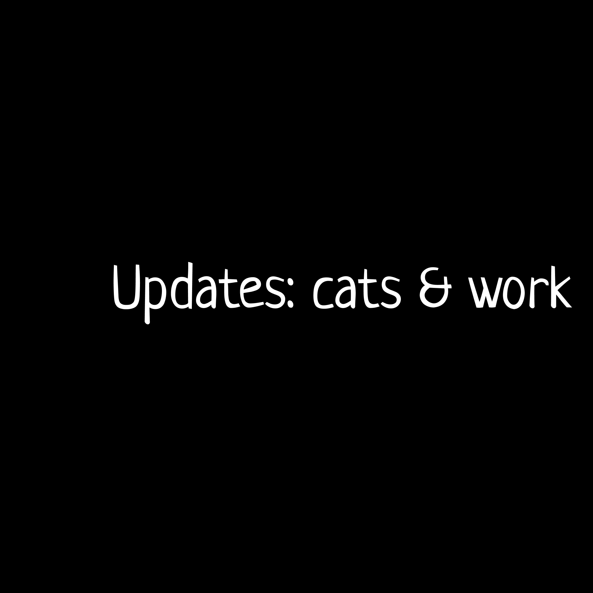 Updates: cats & work