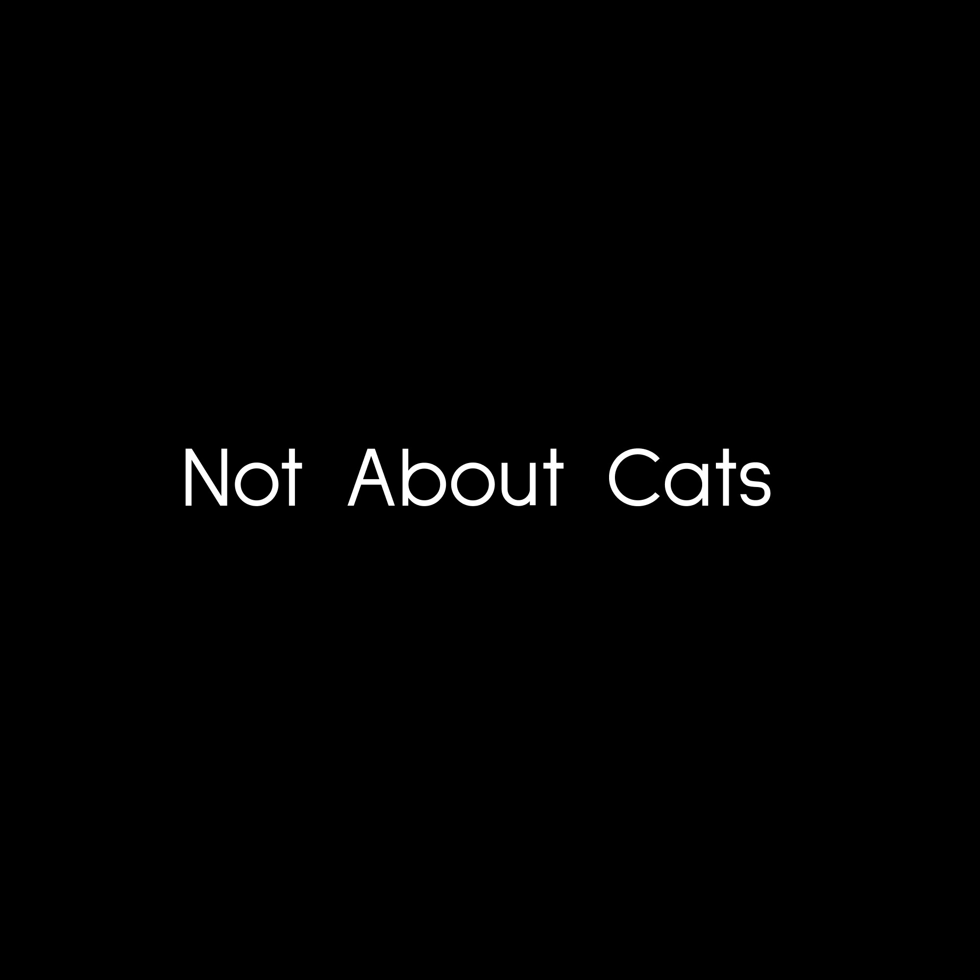 Not About Cats