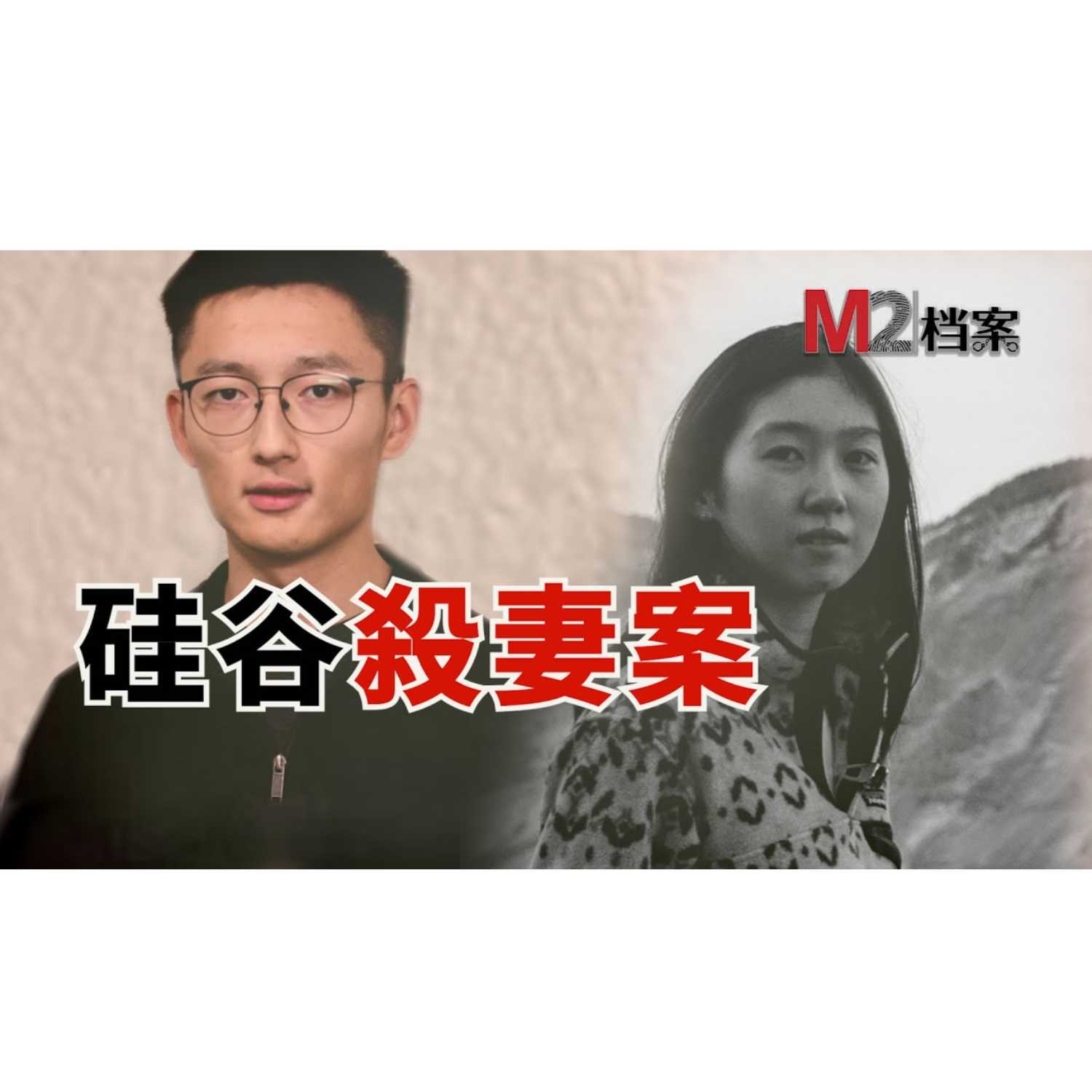 cover of episode 硅谷清华学霸杀妻案