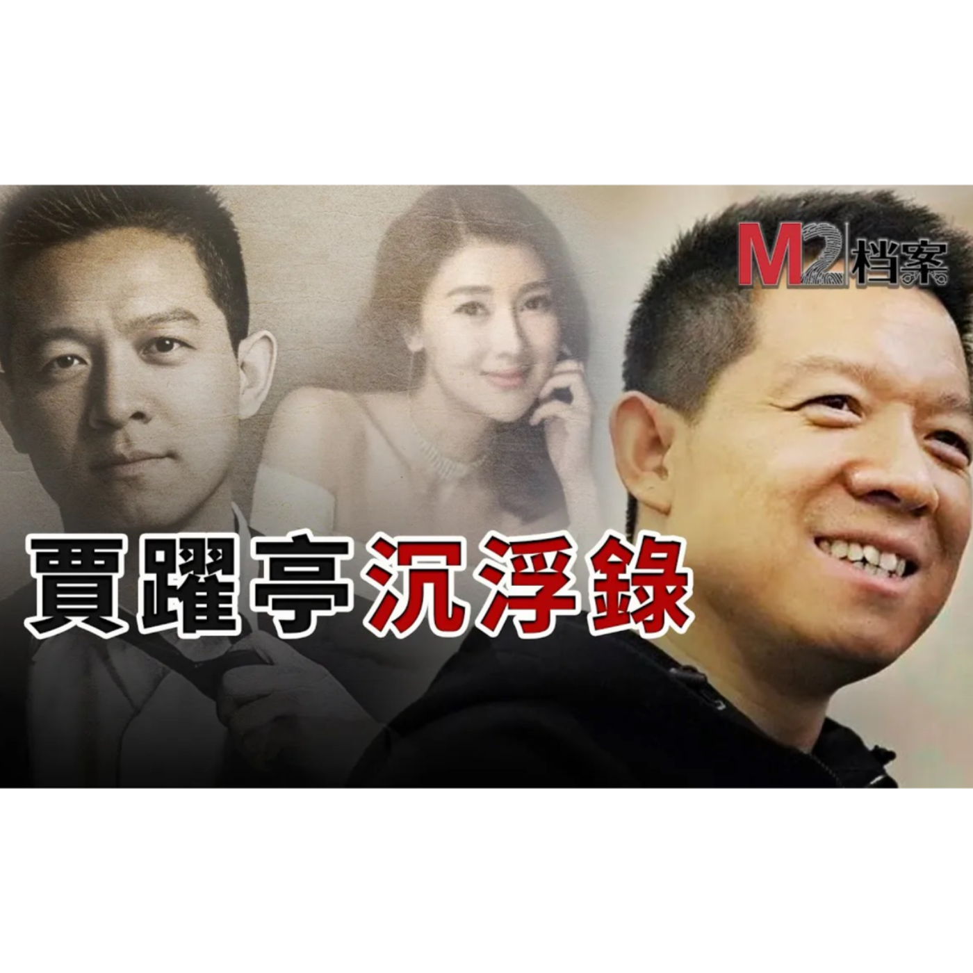 cover of episode 賈躍亭沉浮錄