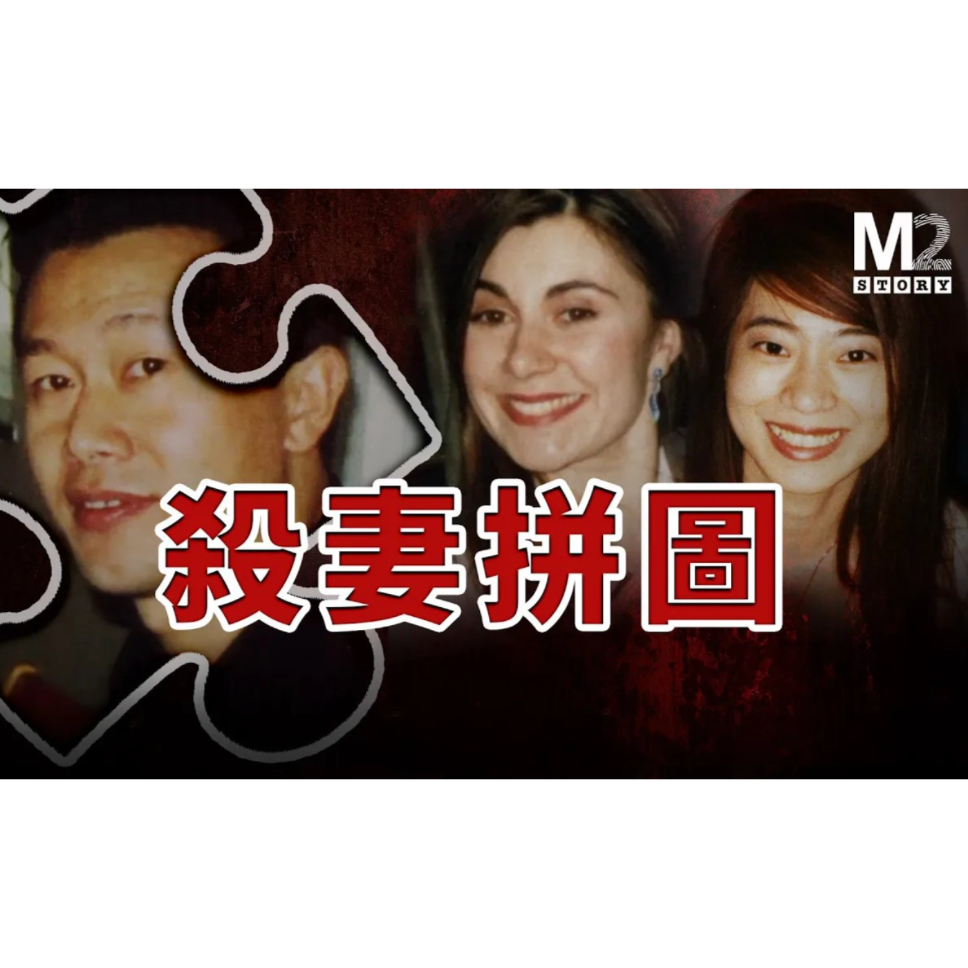 cover of episode 殺妻拼圖