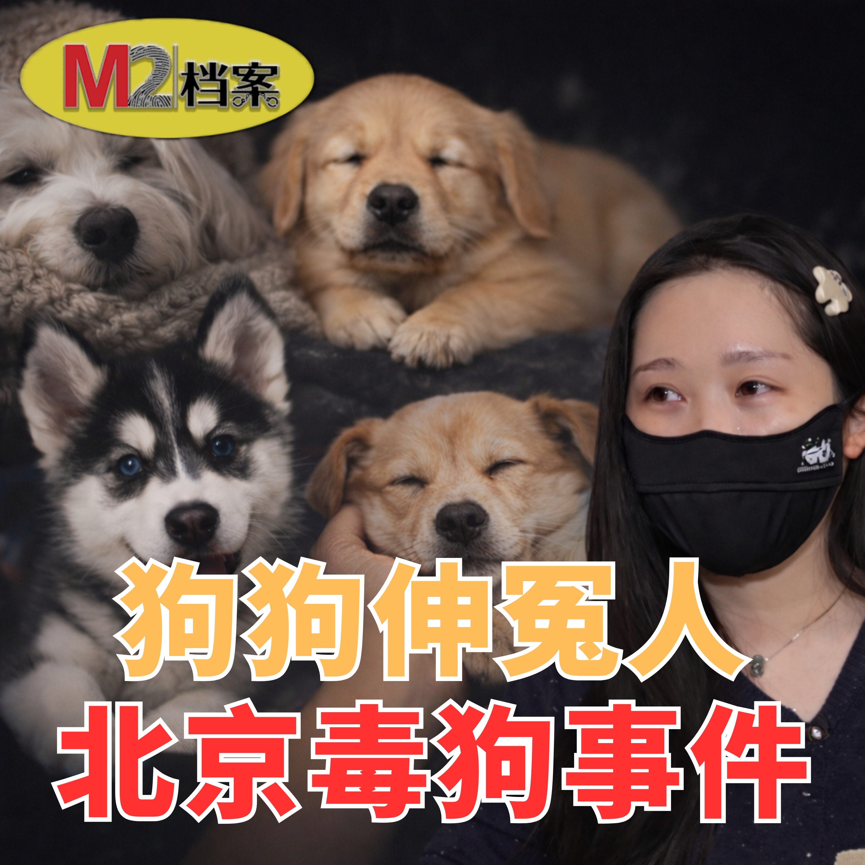 11隻狗被毒死後，她辭職自學刑法，把鄰居送進監獄