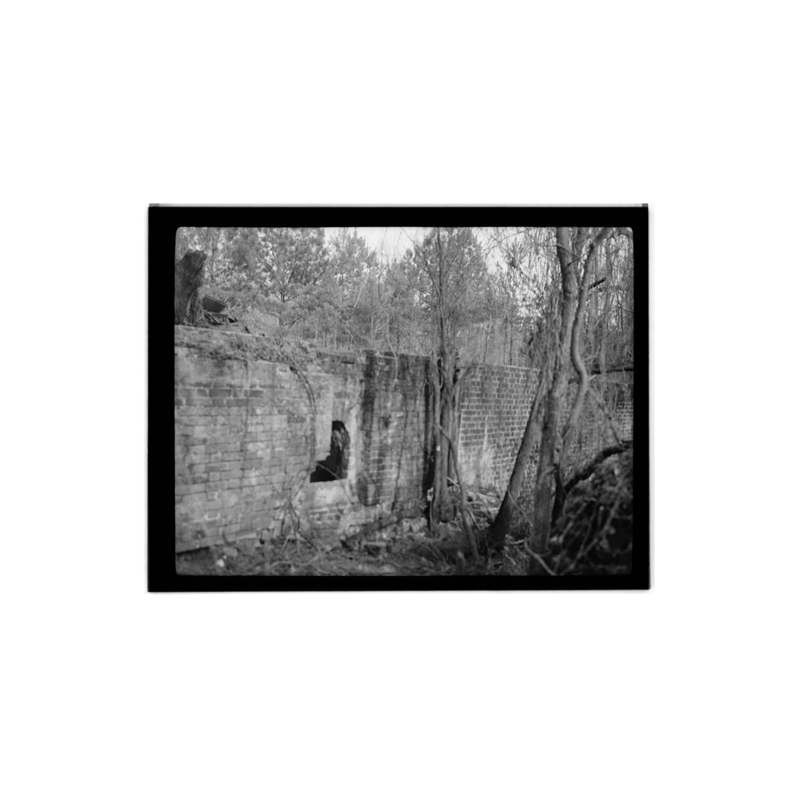 Made In Carolina Podcast