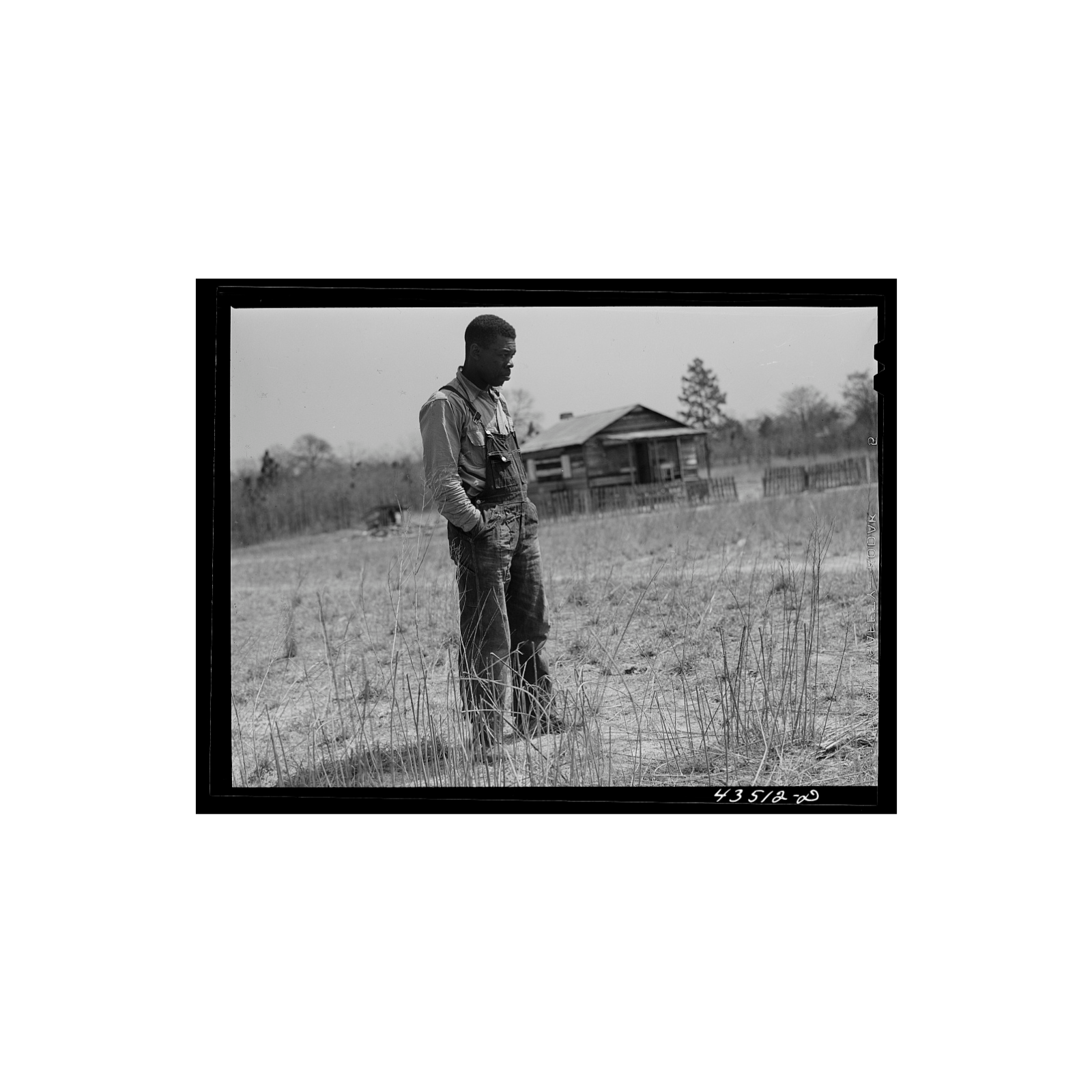 Made In Carolina Podcast