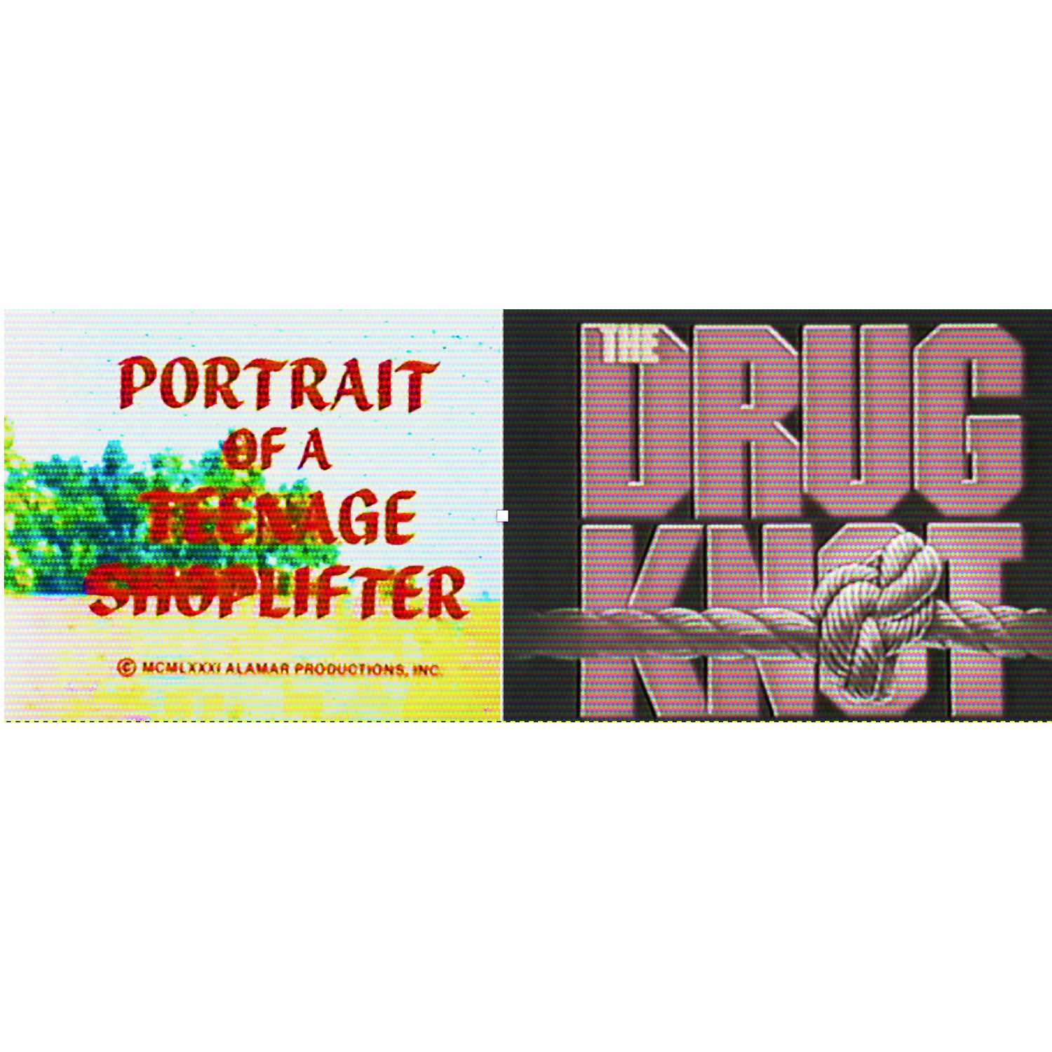 Portrait of a Teenage Shoplifter and The Drug Knot (Going Back to School with the CBS Schoolbreak Special)!