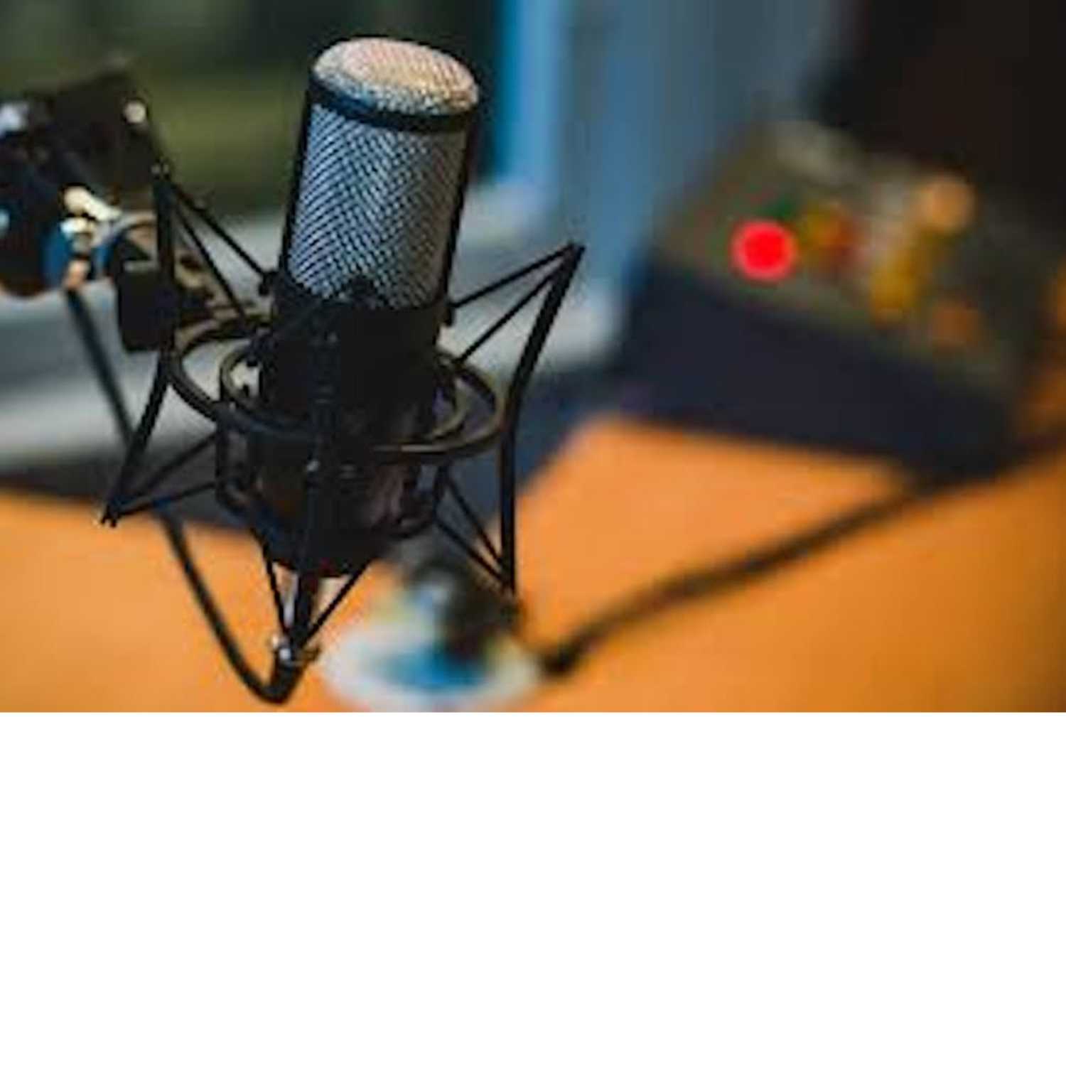 L'apparato digerente