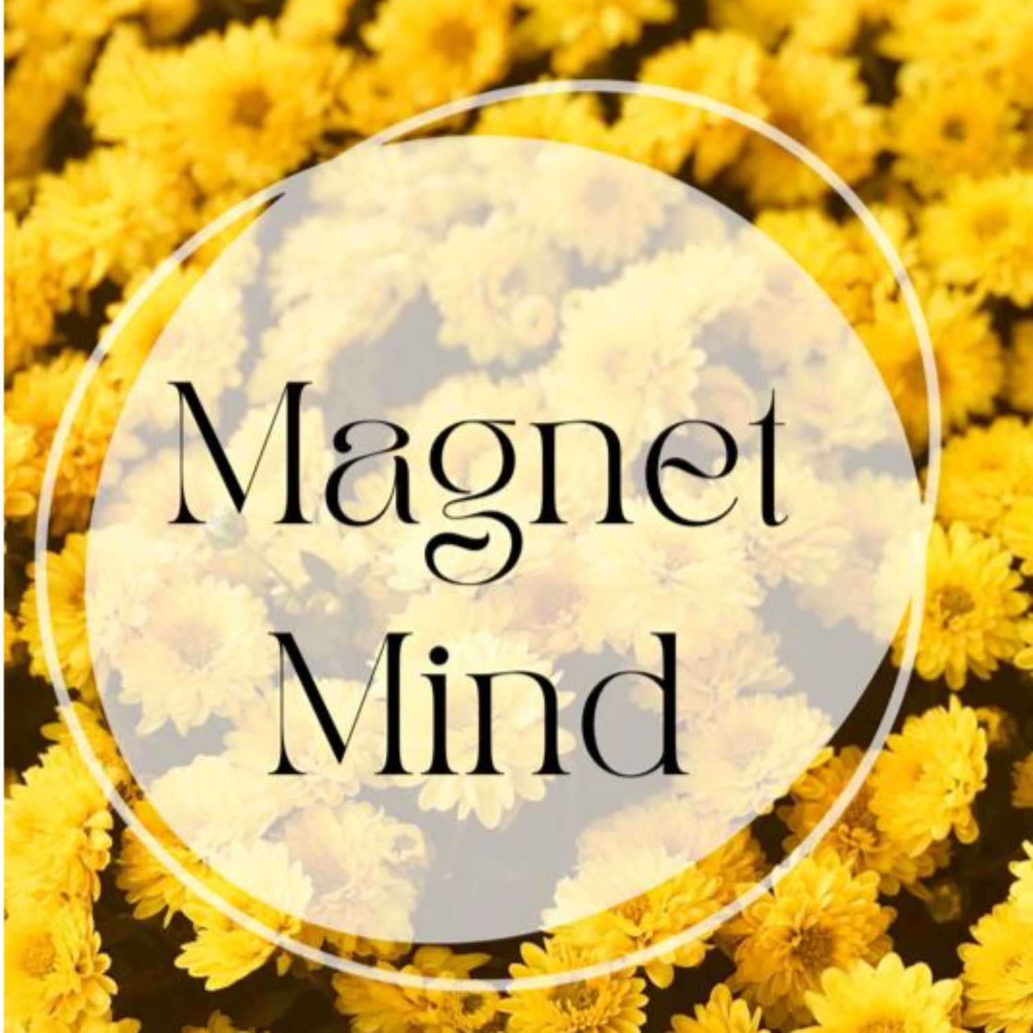 Understanding Law of Attraction podcast artwork