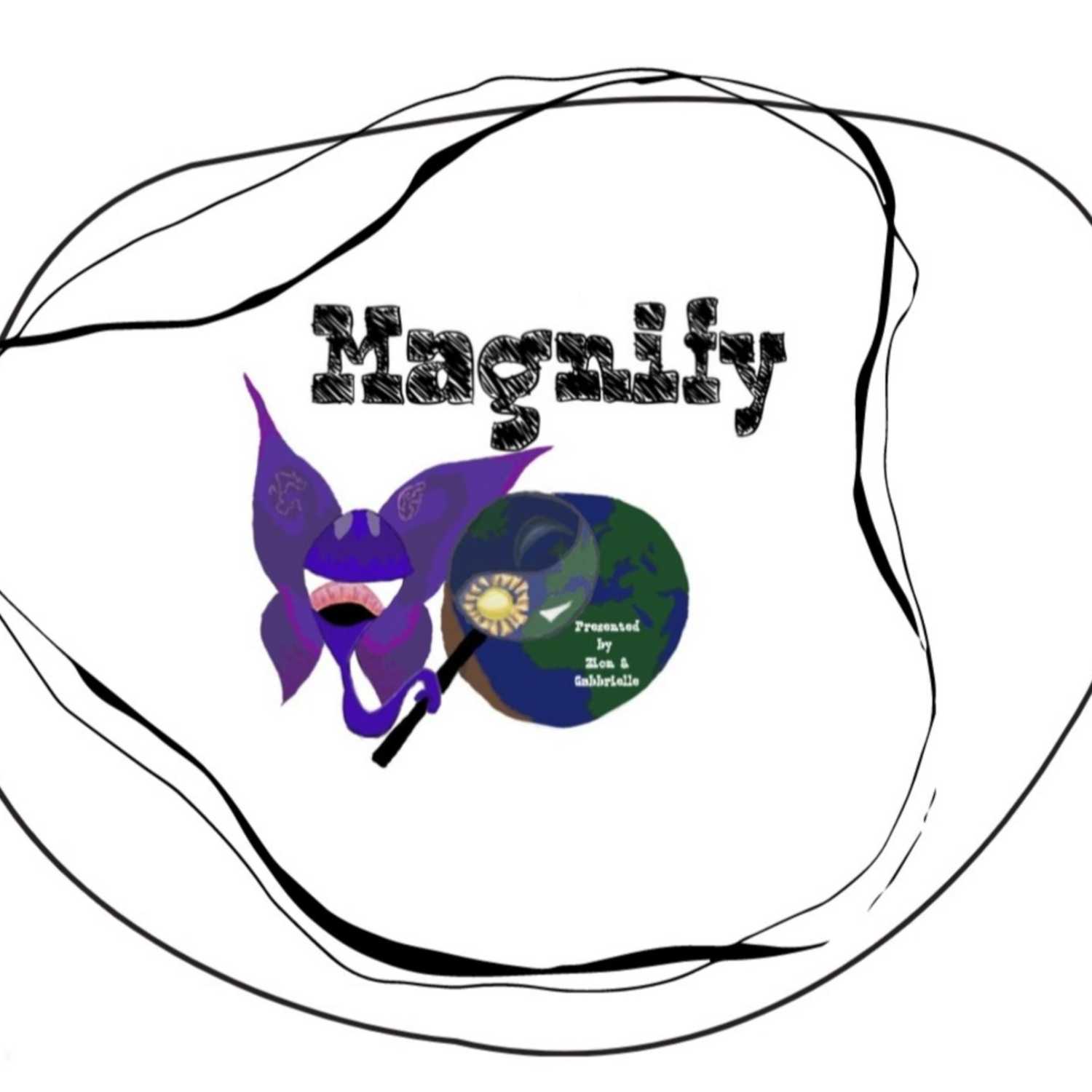 Magnify