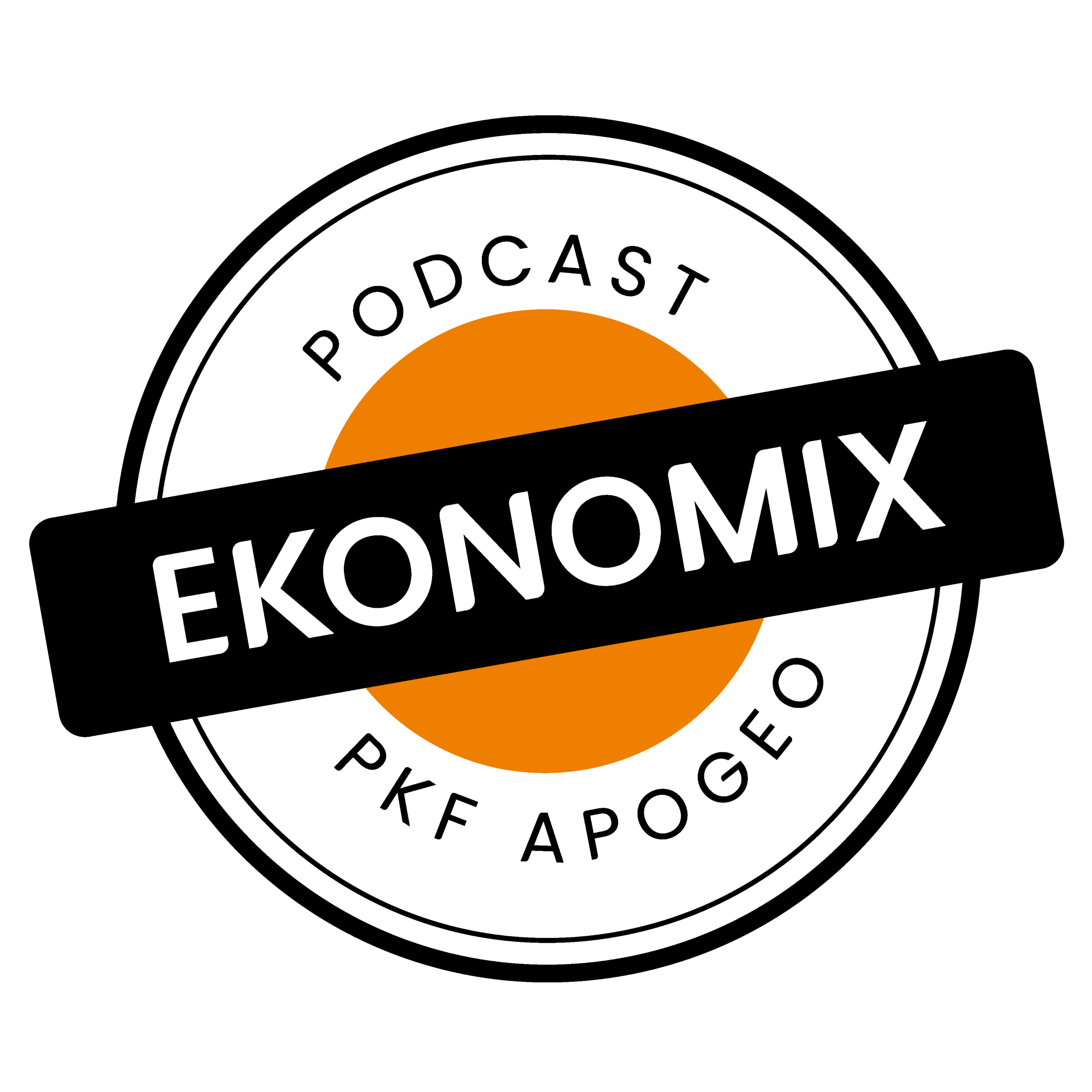EKONOMIX PKF APOGEO