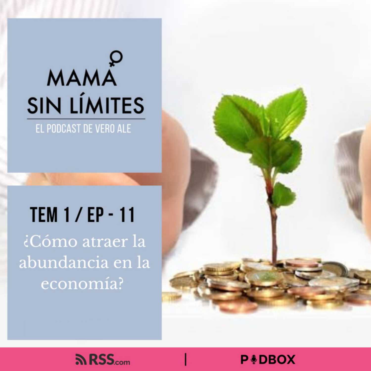 MAMÁ SIN LÍMITES - TEMP1 / EP 11 - ¿CÓMO ATRAER LA ABUNDANCIA EN LA ECONOMÍA? episode artwork