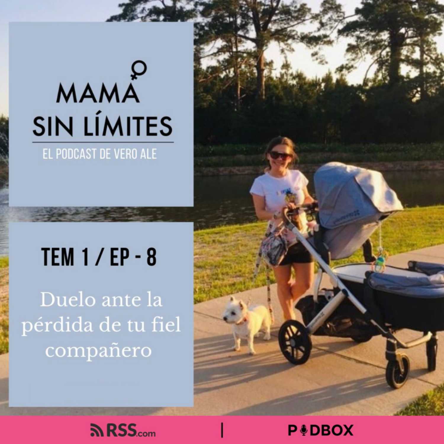 MAMÁ SIN LÍMITES - TEMP 1 / EP 08 - DUELO ANTE LA PÉRDIDA DE TU MASCOTA episode artwork