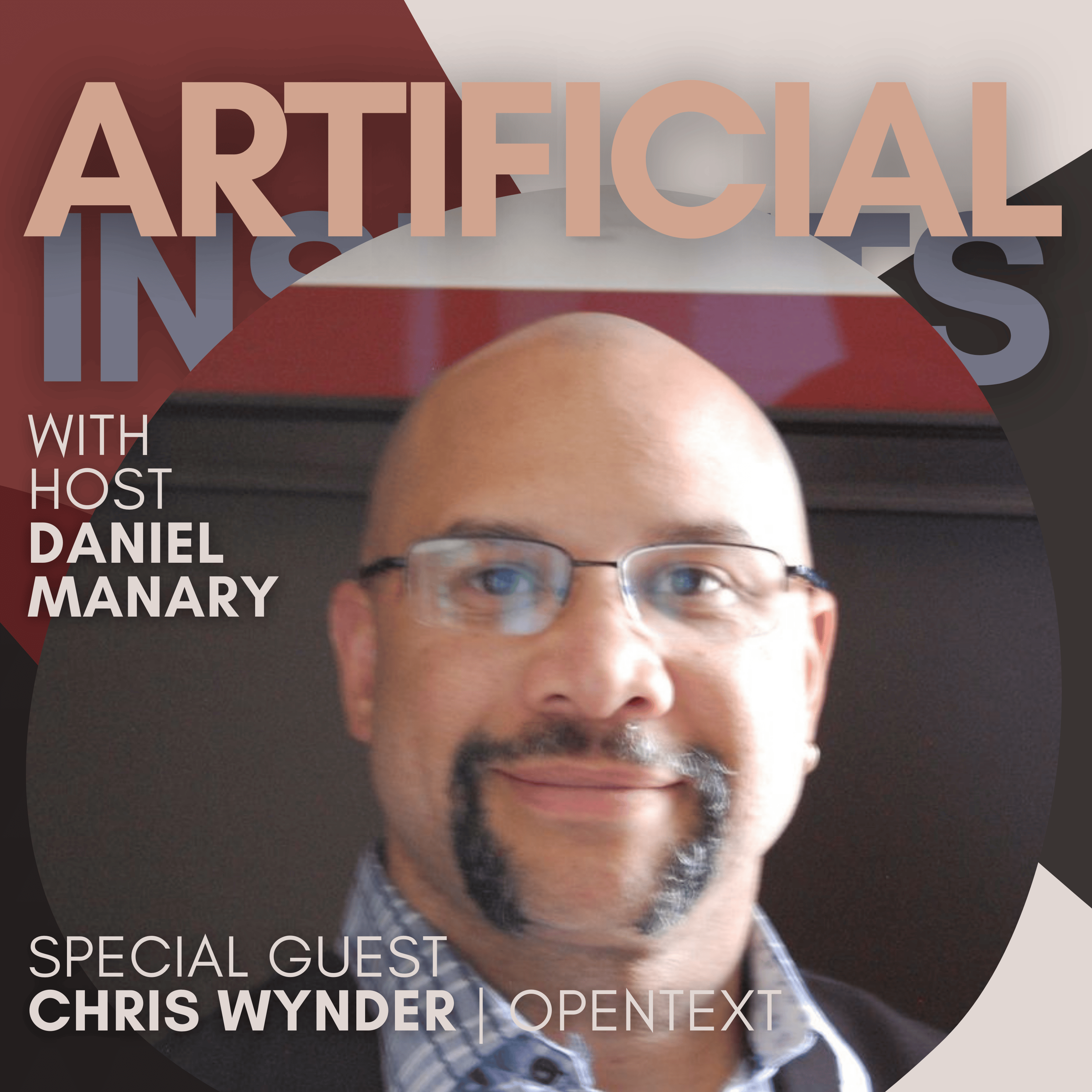 Artificial Insights: Conversations About AI