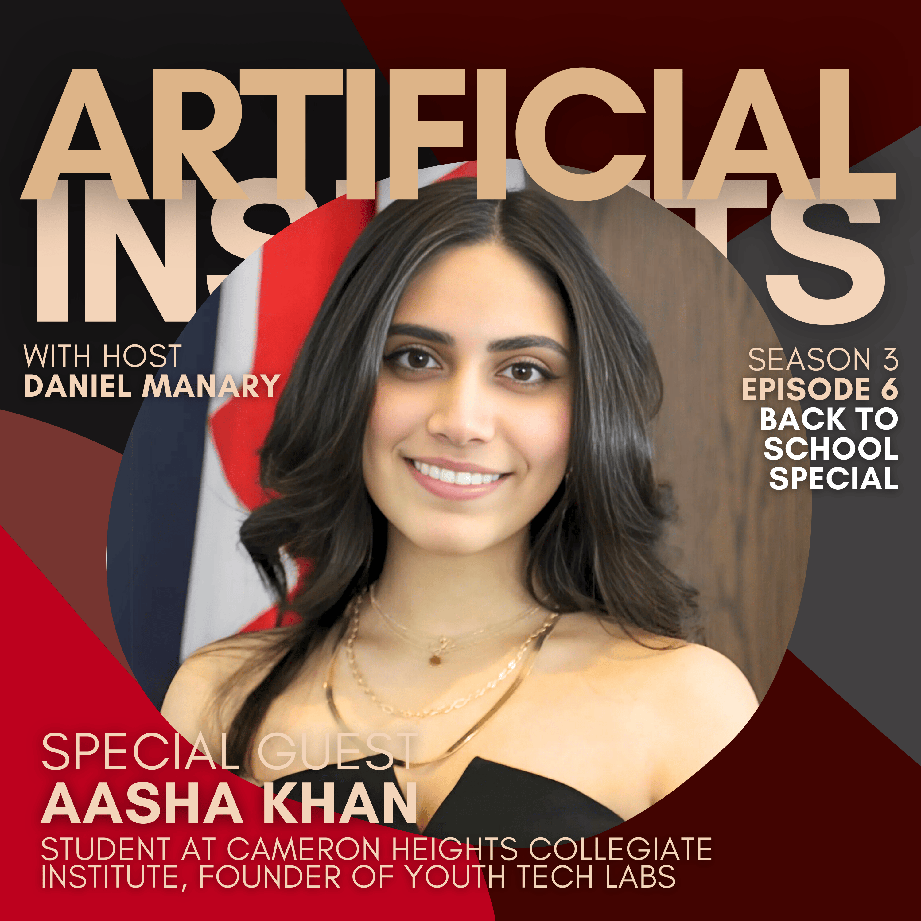 Artificial Insights: Conversations About AI